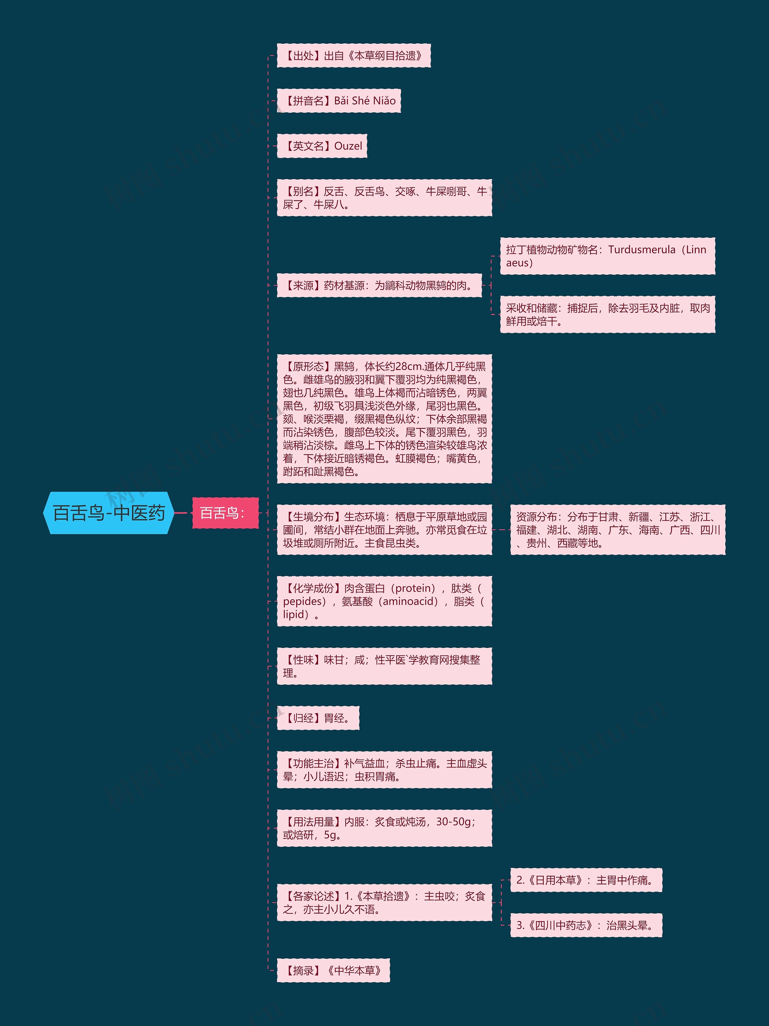 百舌鸟-中医药 百舌鸟-中医药