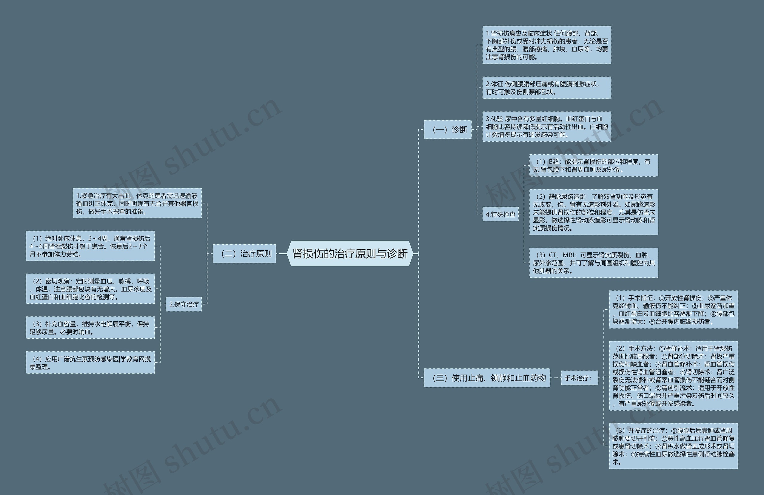 肾损伤的治疗原则与诊断 肾损伤的治疗原则与诊断