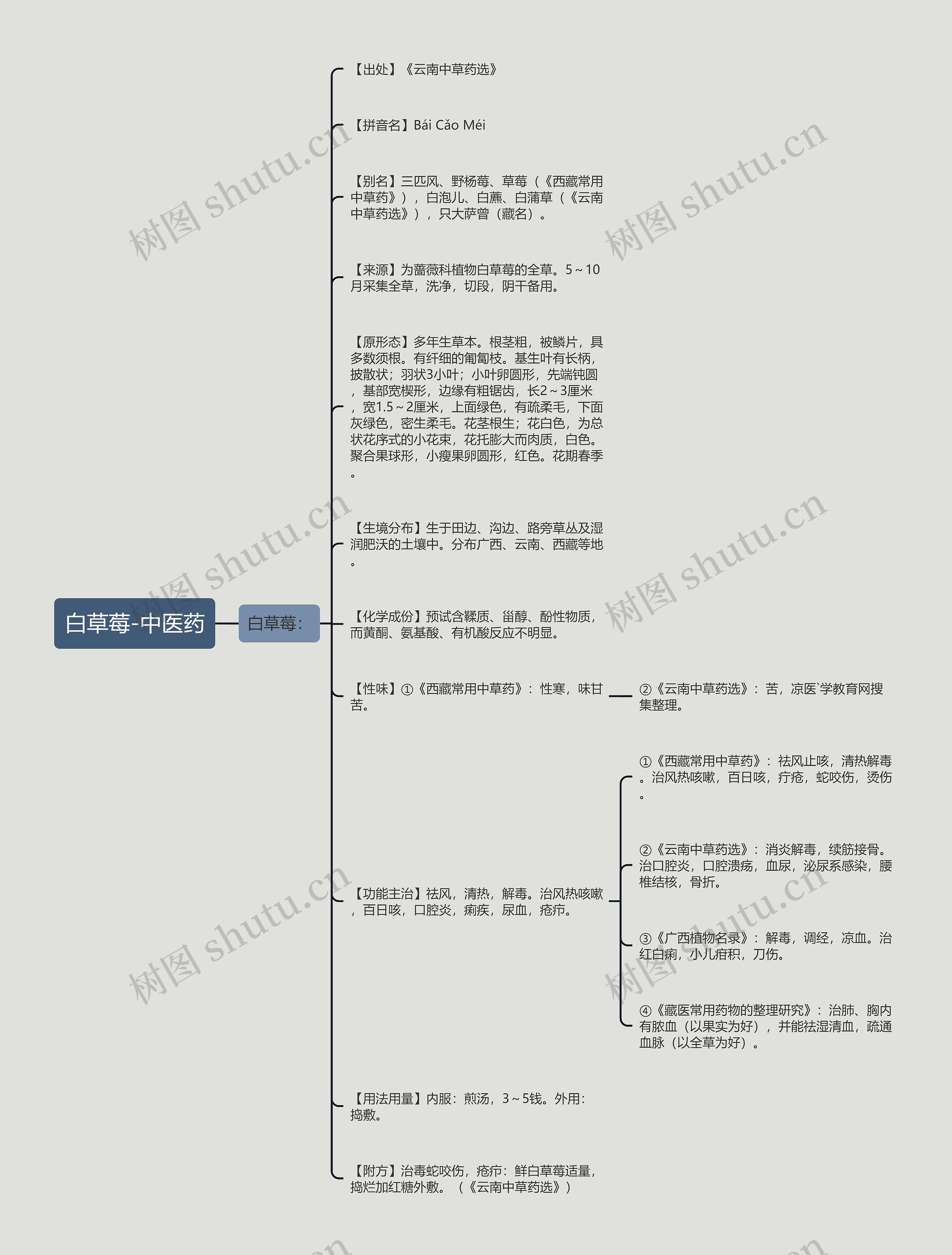 白草莓-中医药思维导图