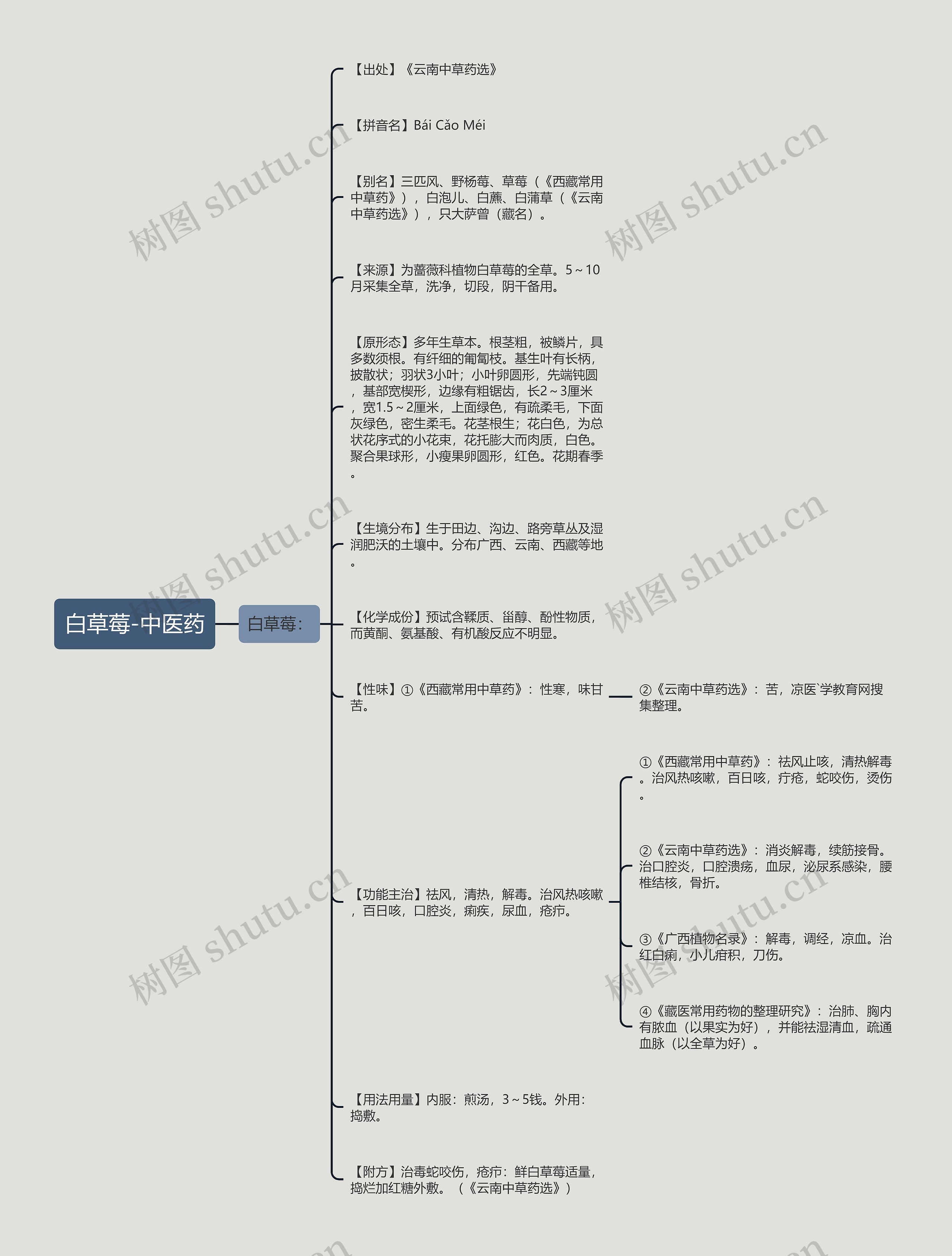 白草莓-中医药 白草莓-中医药