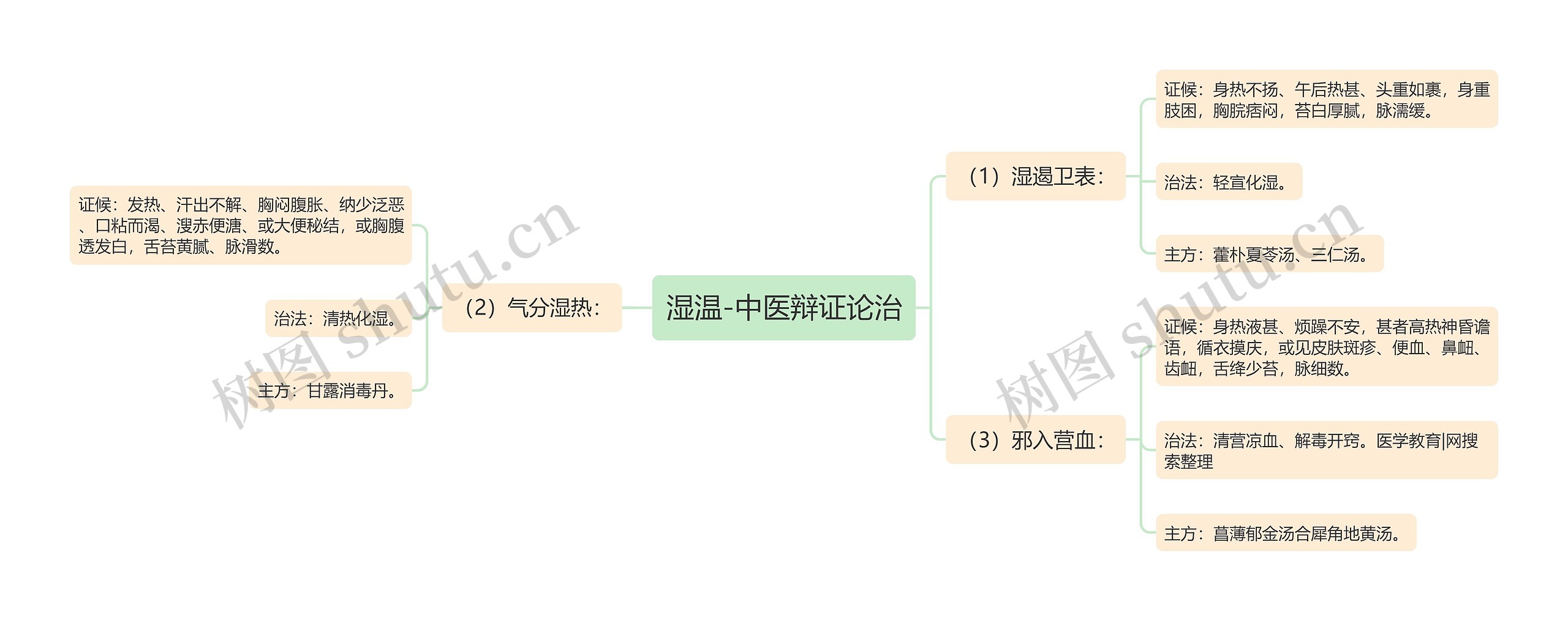 湿温-中医辩证论治思维导图