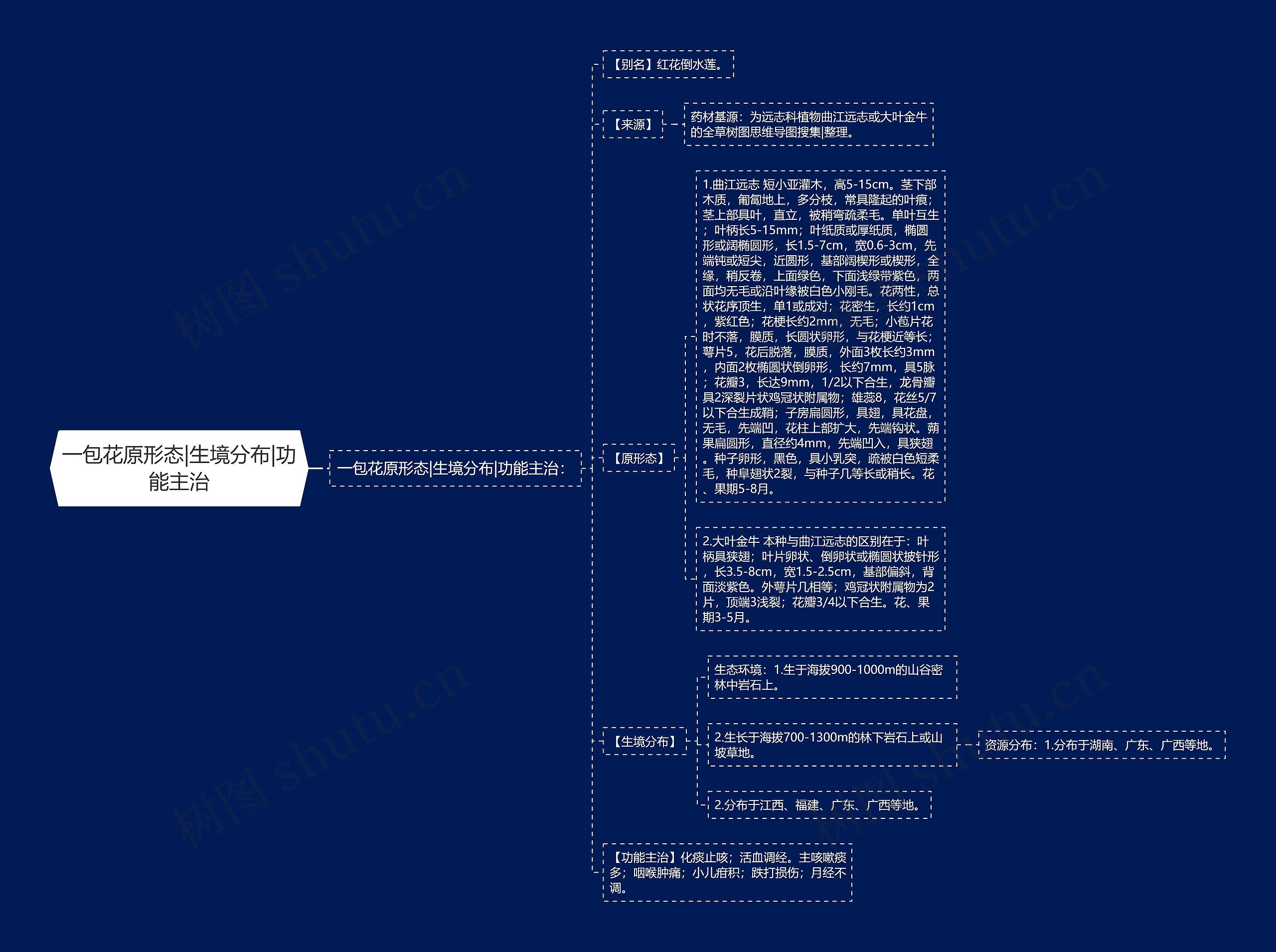 一包花原形态|生境分布|功能主治思维导图