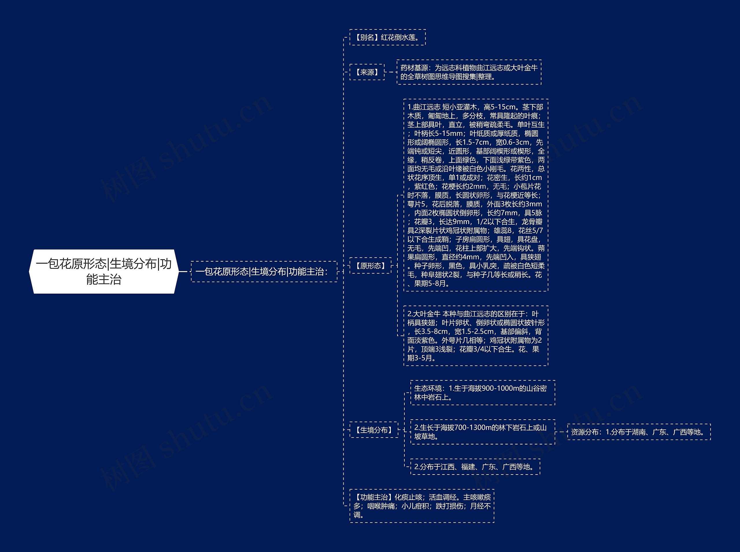 一包花原形态|生境分布|功能主治 一包花原形态|生境分布|功能主治