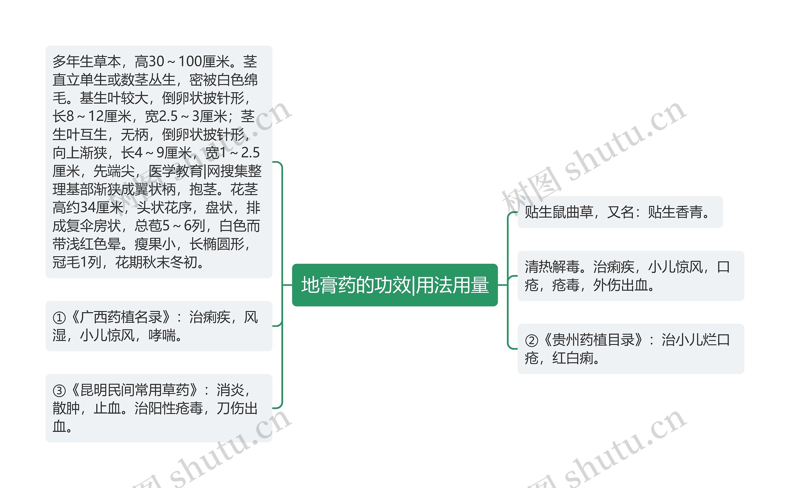 地膏药的功效|用法用量思维导图