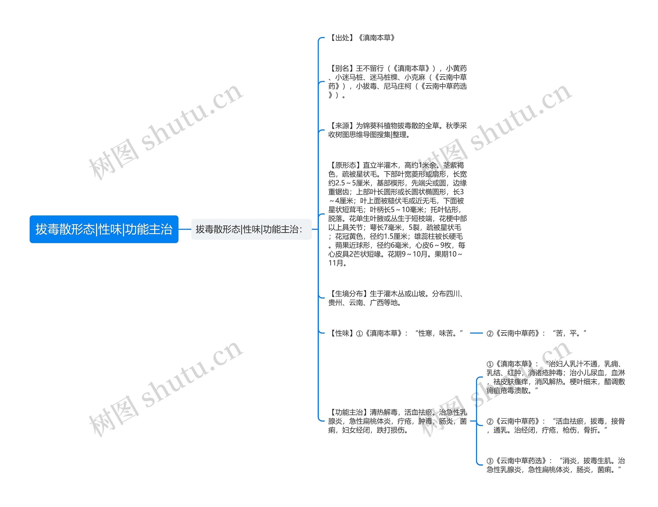 拔毒散形态|性味|功能主治思维导图