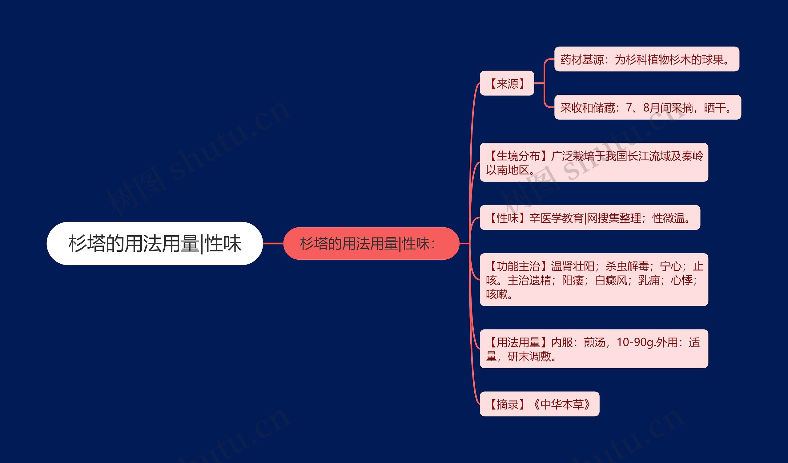 杉塔的用法用量|性味思维导图