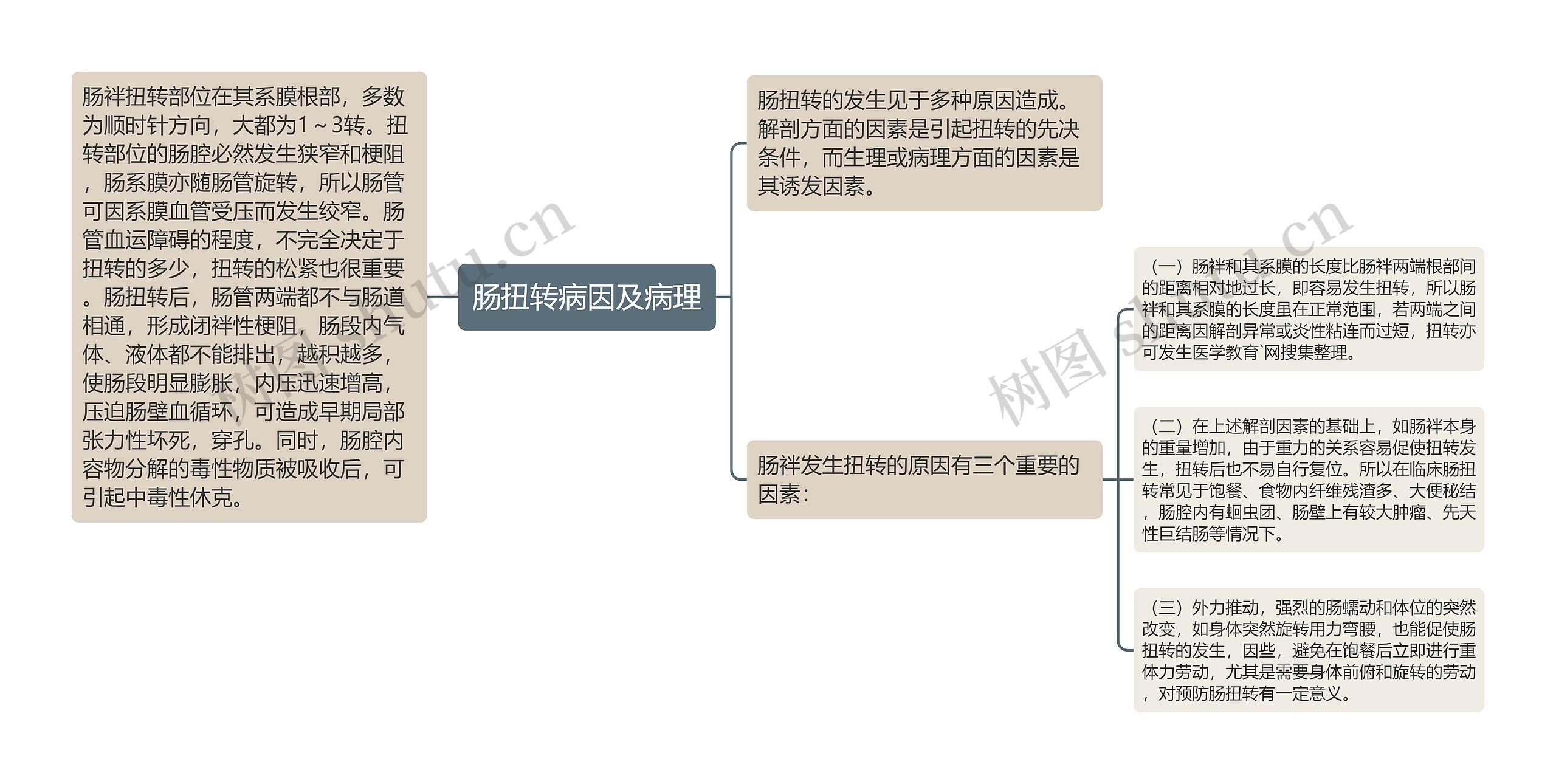 肠扭转病因及病理思维导图