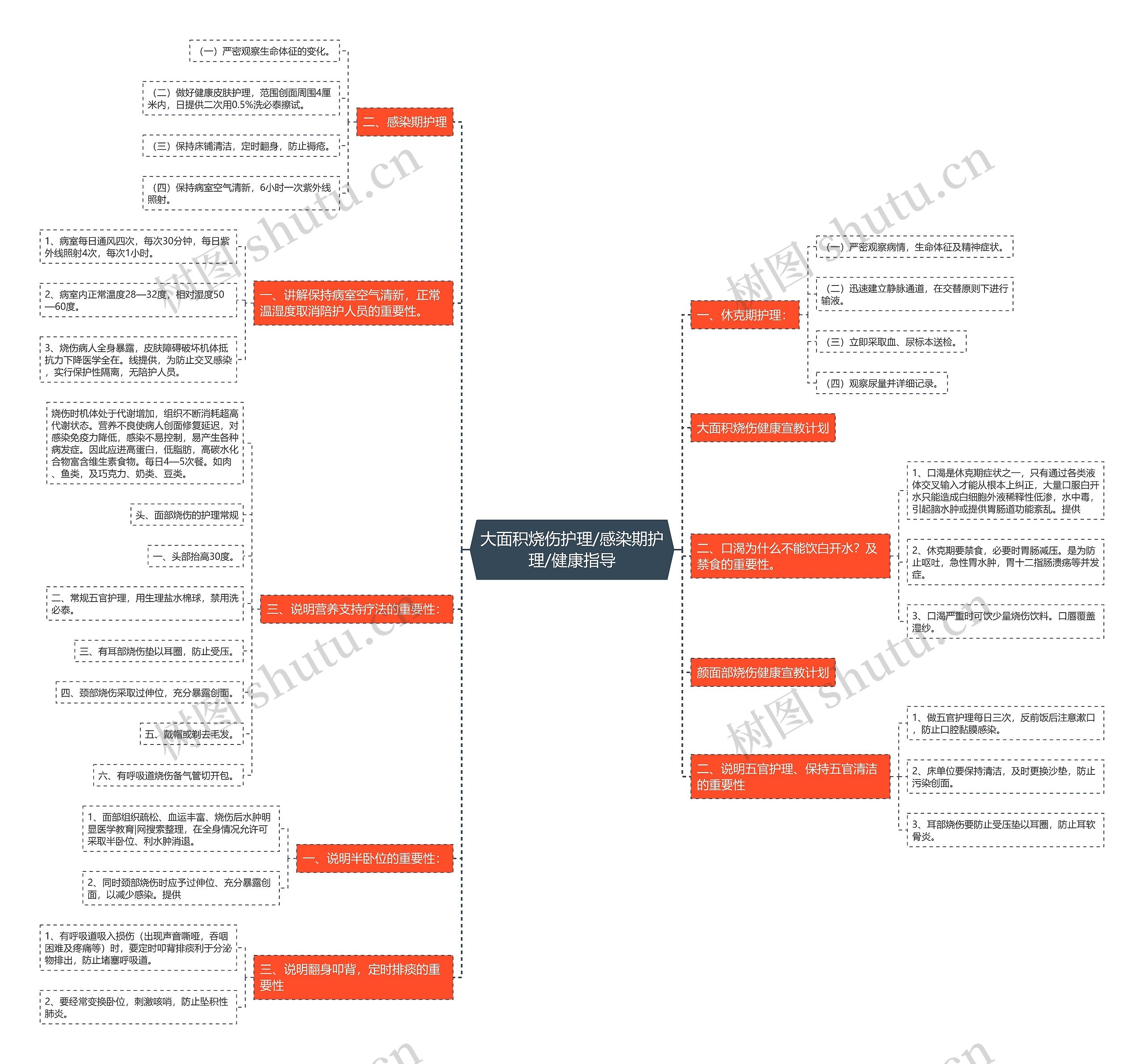 大面积烧伤护理/感染期护理/健康指导 大面积烧伤护理/感染期护理/健康指导