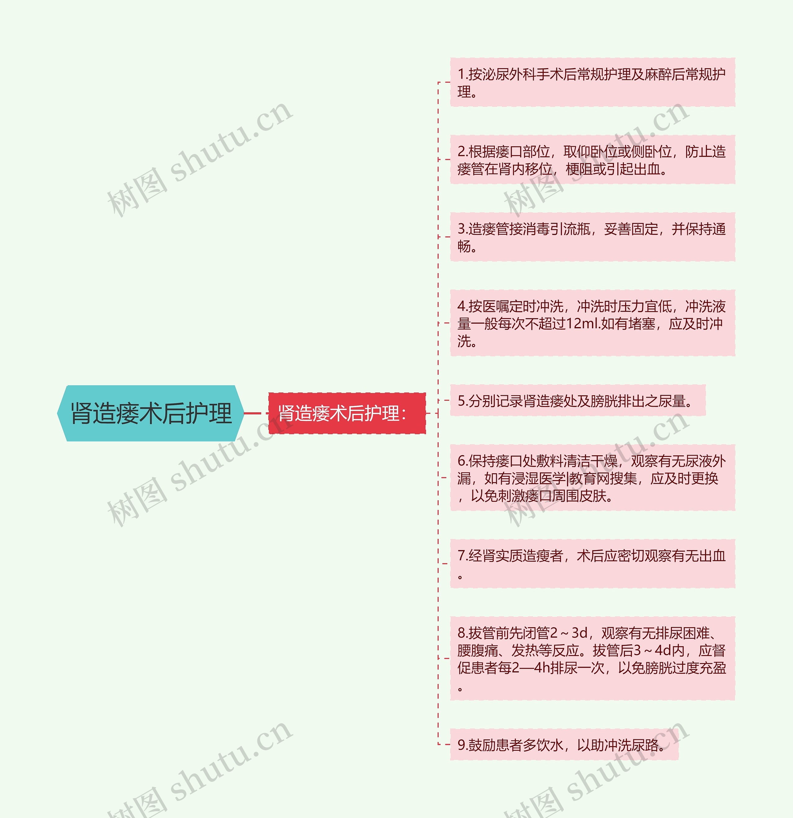 肾造瘘术后护理思维导图