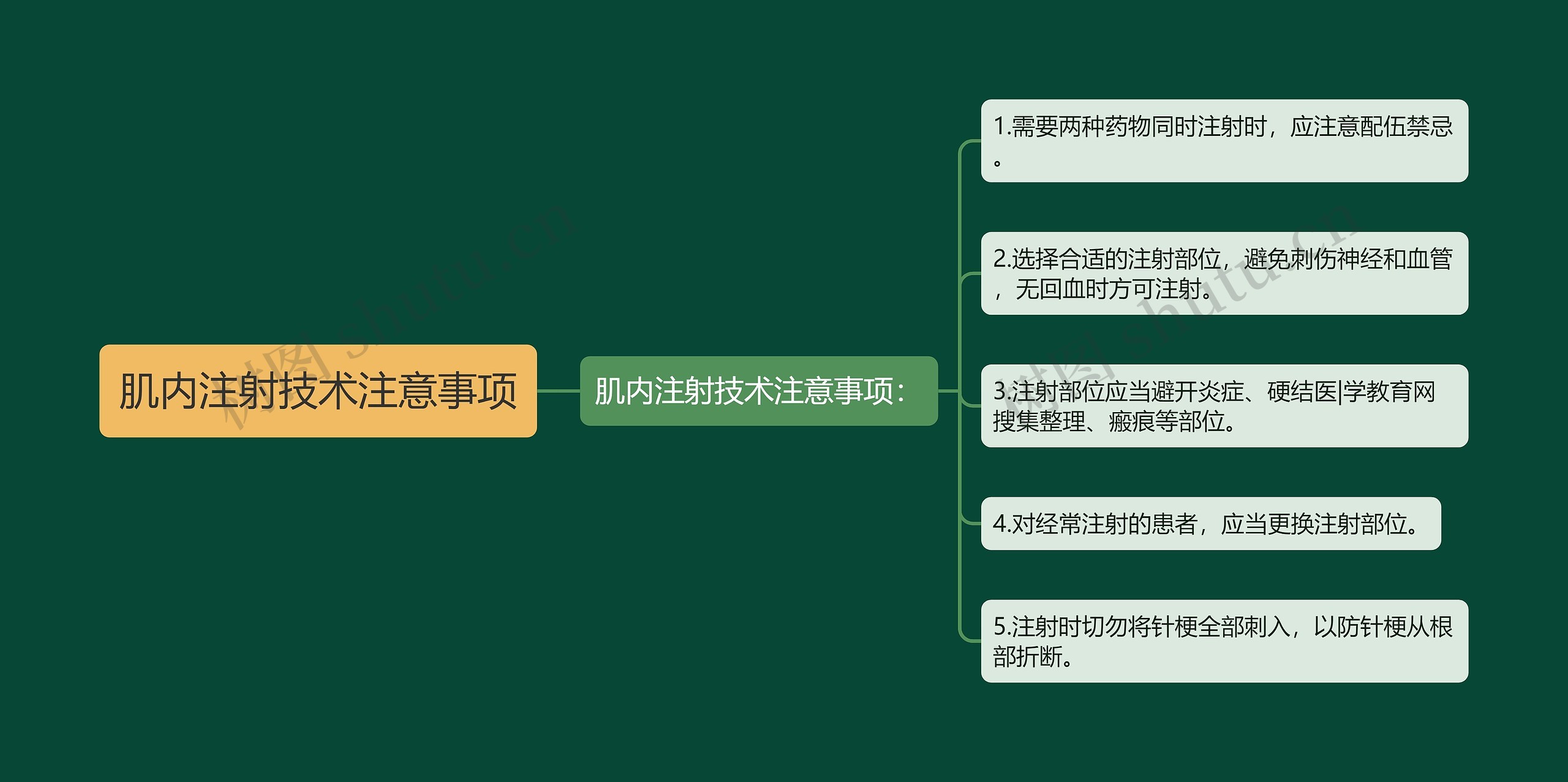 肌内注射技术注意事项