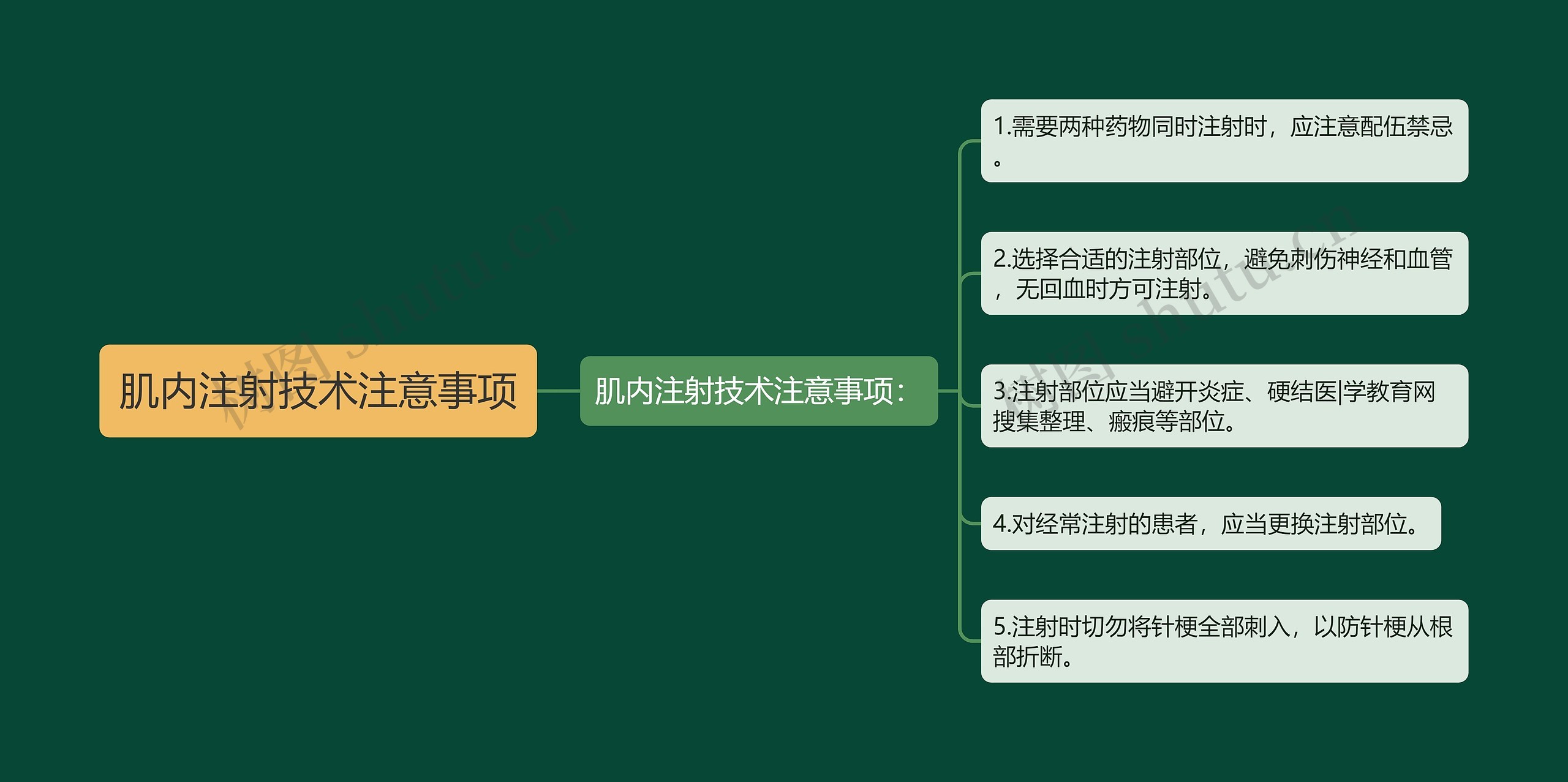 肌内注射技术注意事项 肌内注射技术注意事项