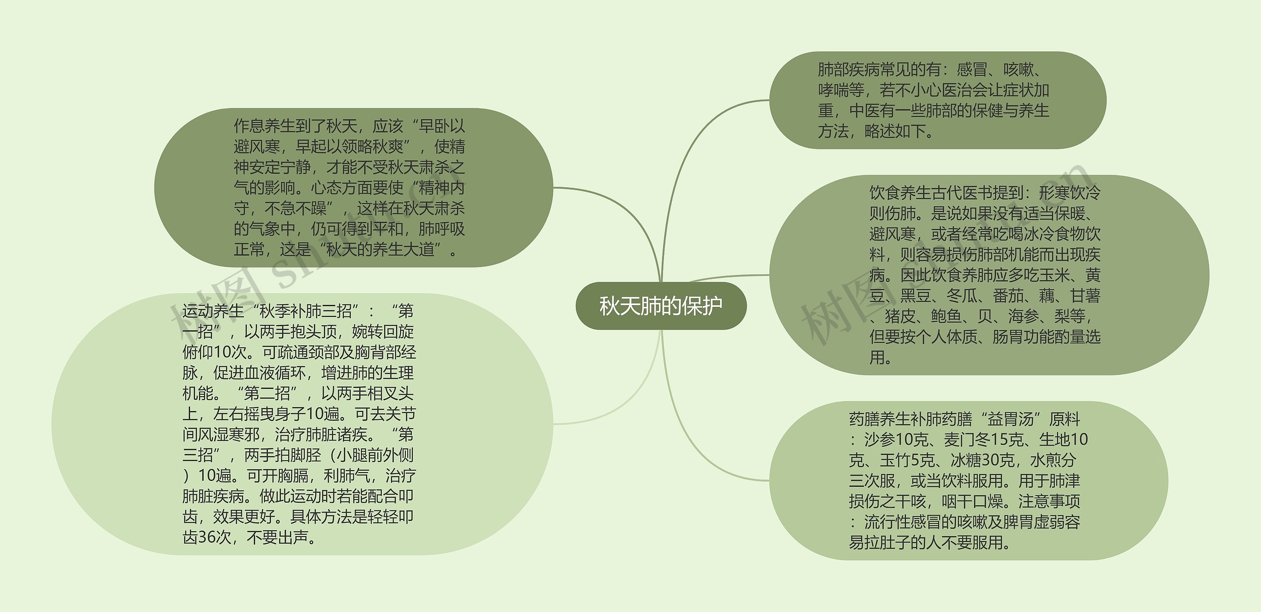 秋天肺的保护思维导图