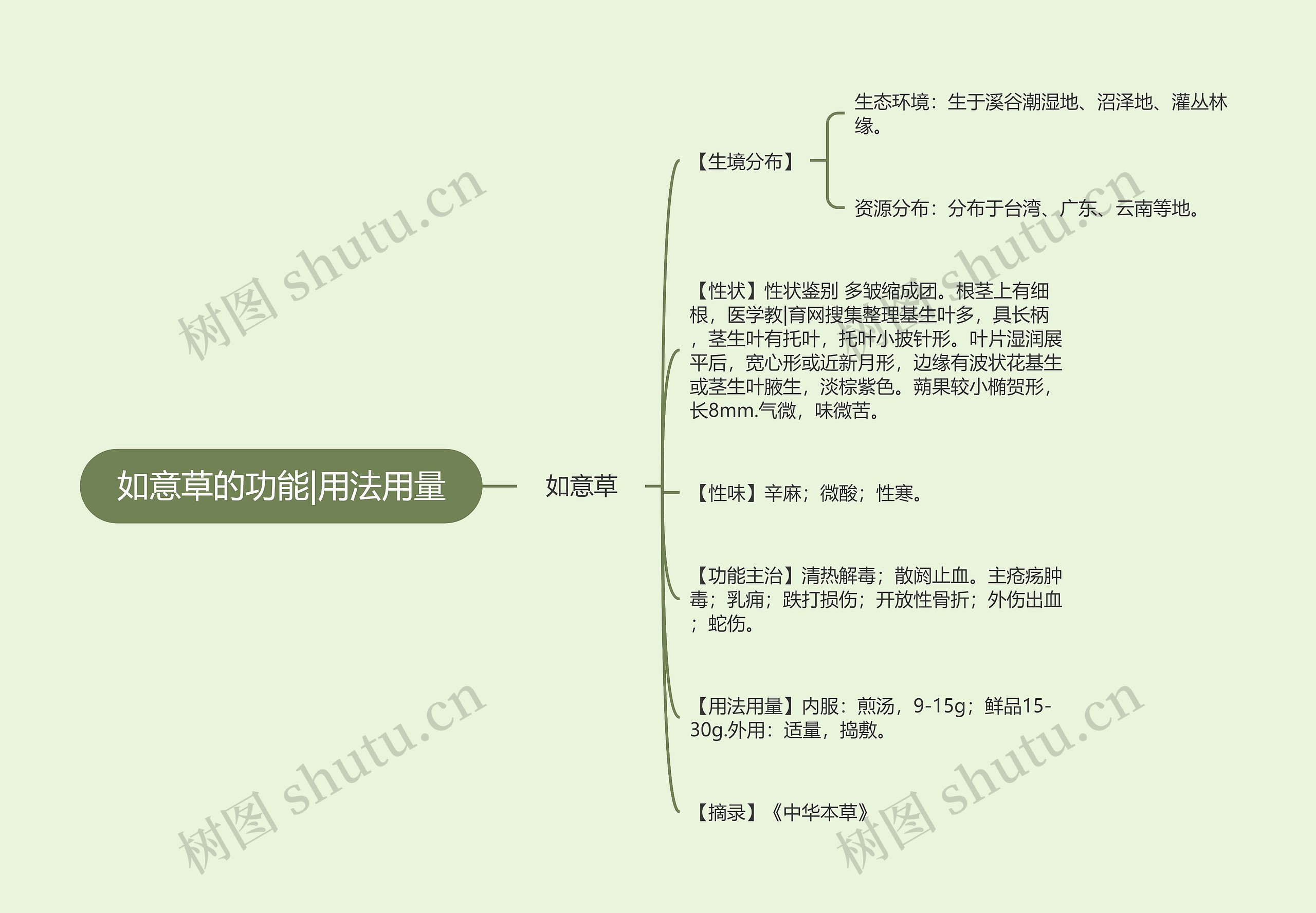 如意草的功能|用法用量思维导图