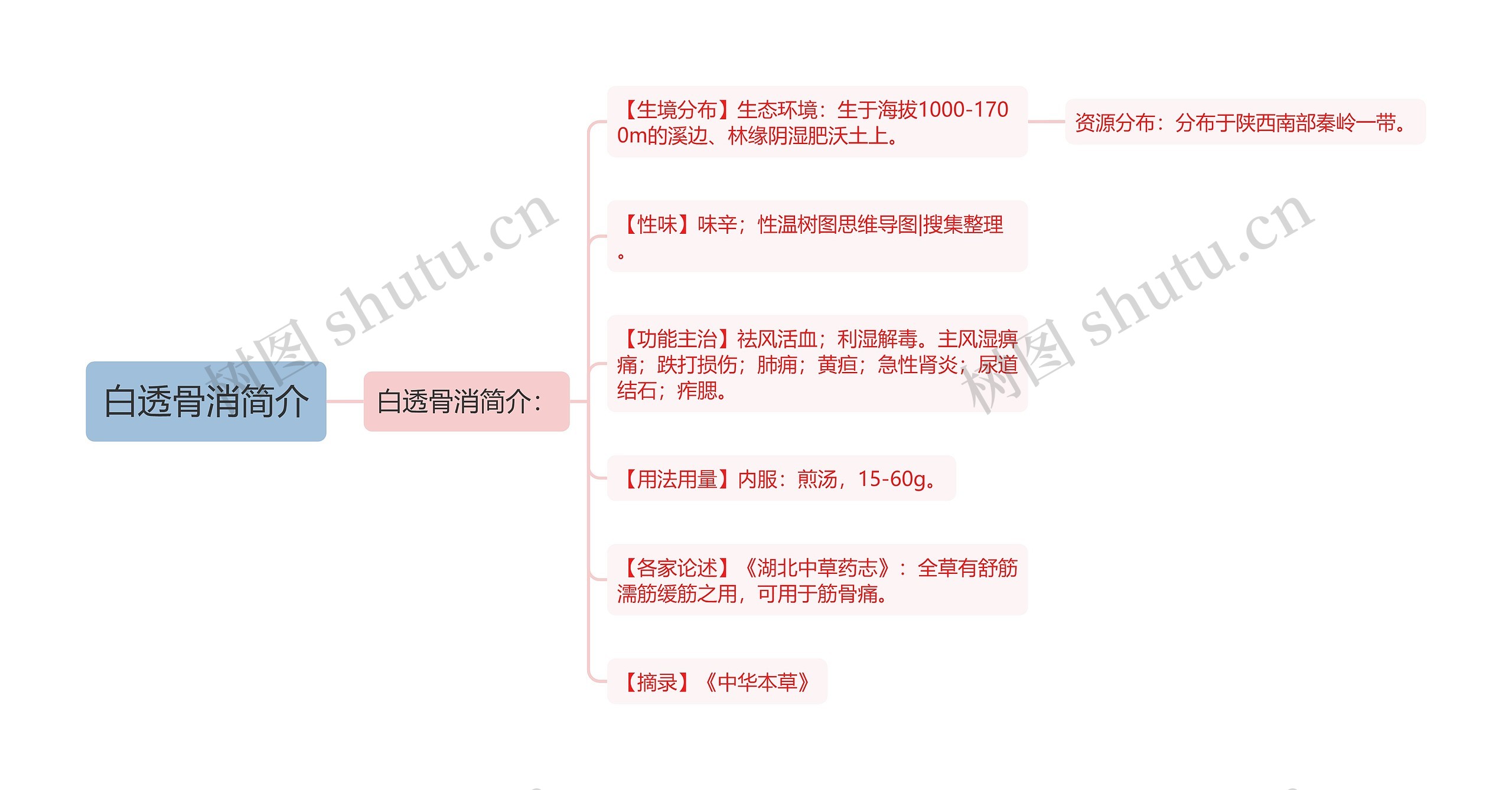 白透骨消简介 白透骨消简介