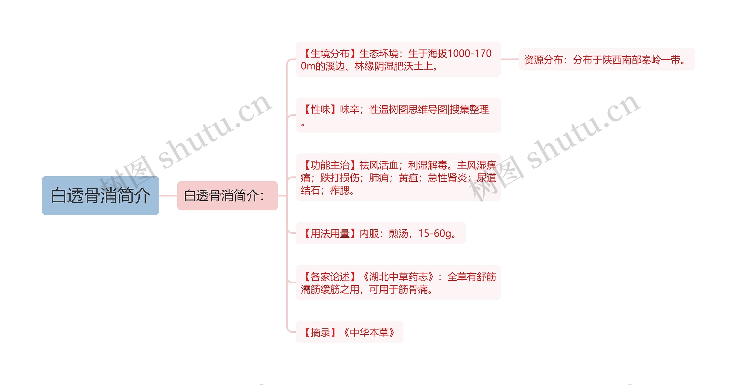 白透骨消简介思维导图
