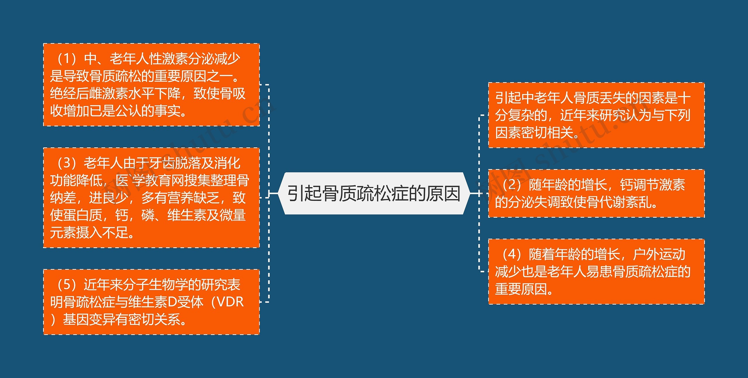 引起骨质疏松症的原因