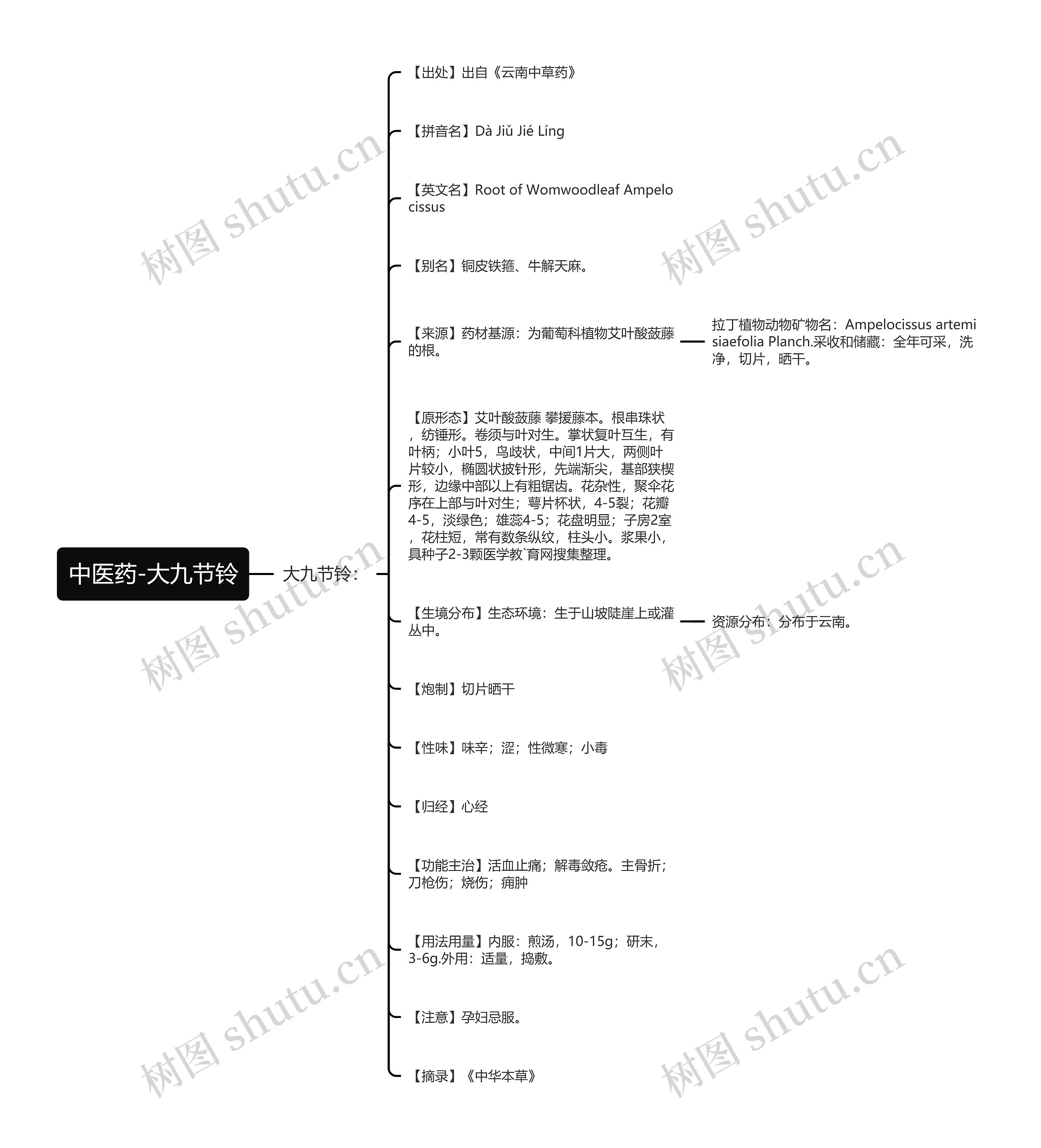 中医药-大九节铃 中医药-大九节铃