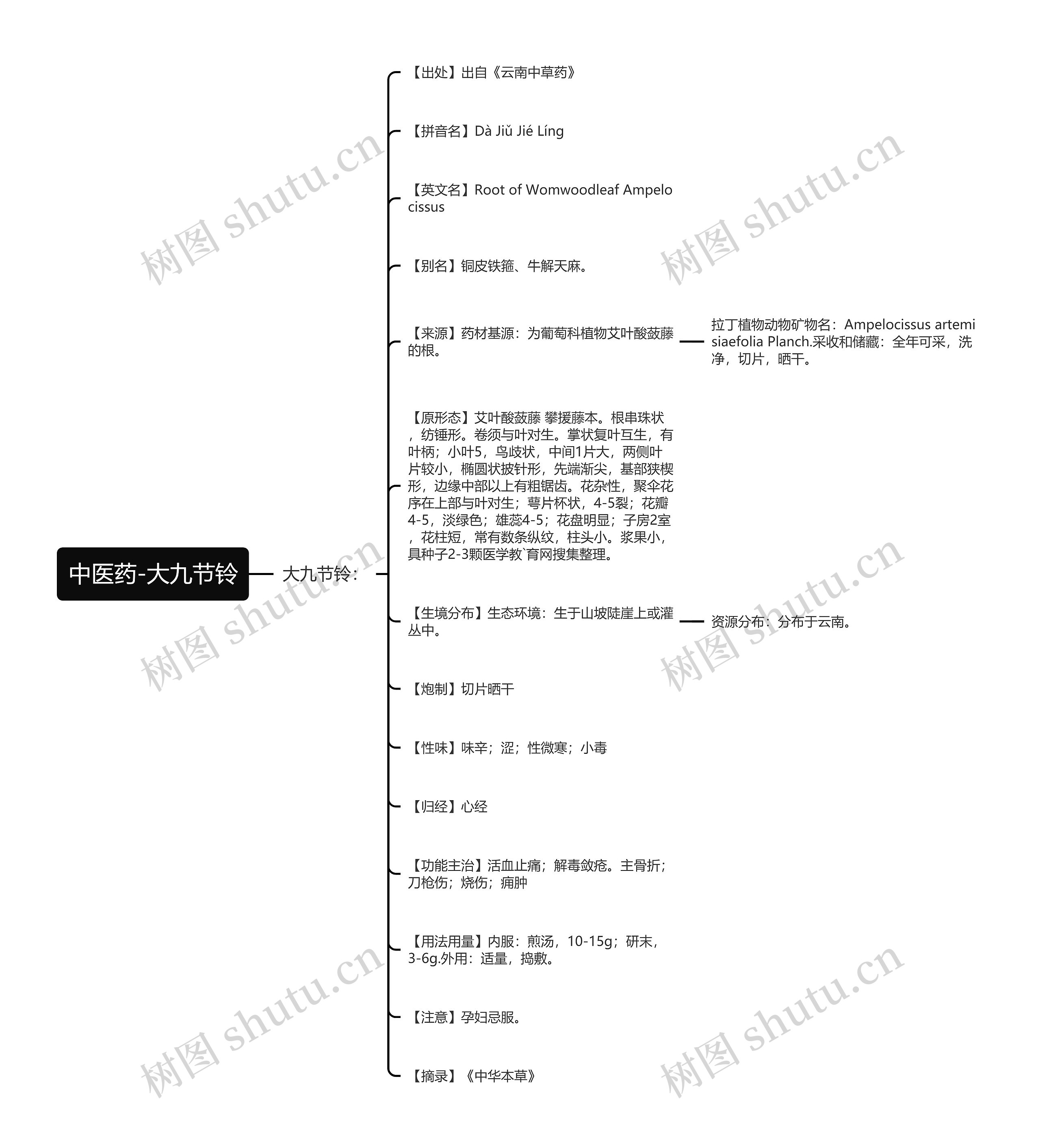 中医药-大九节铃思维导图