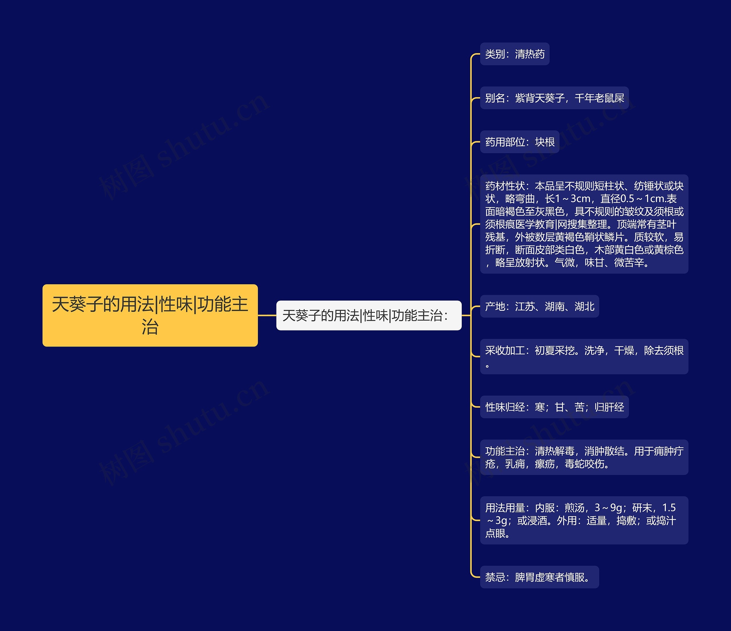 天葵子的用法|性味|功能主治思维导图
