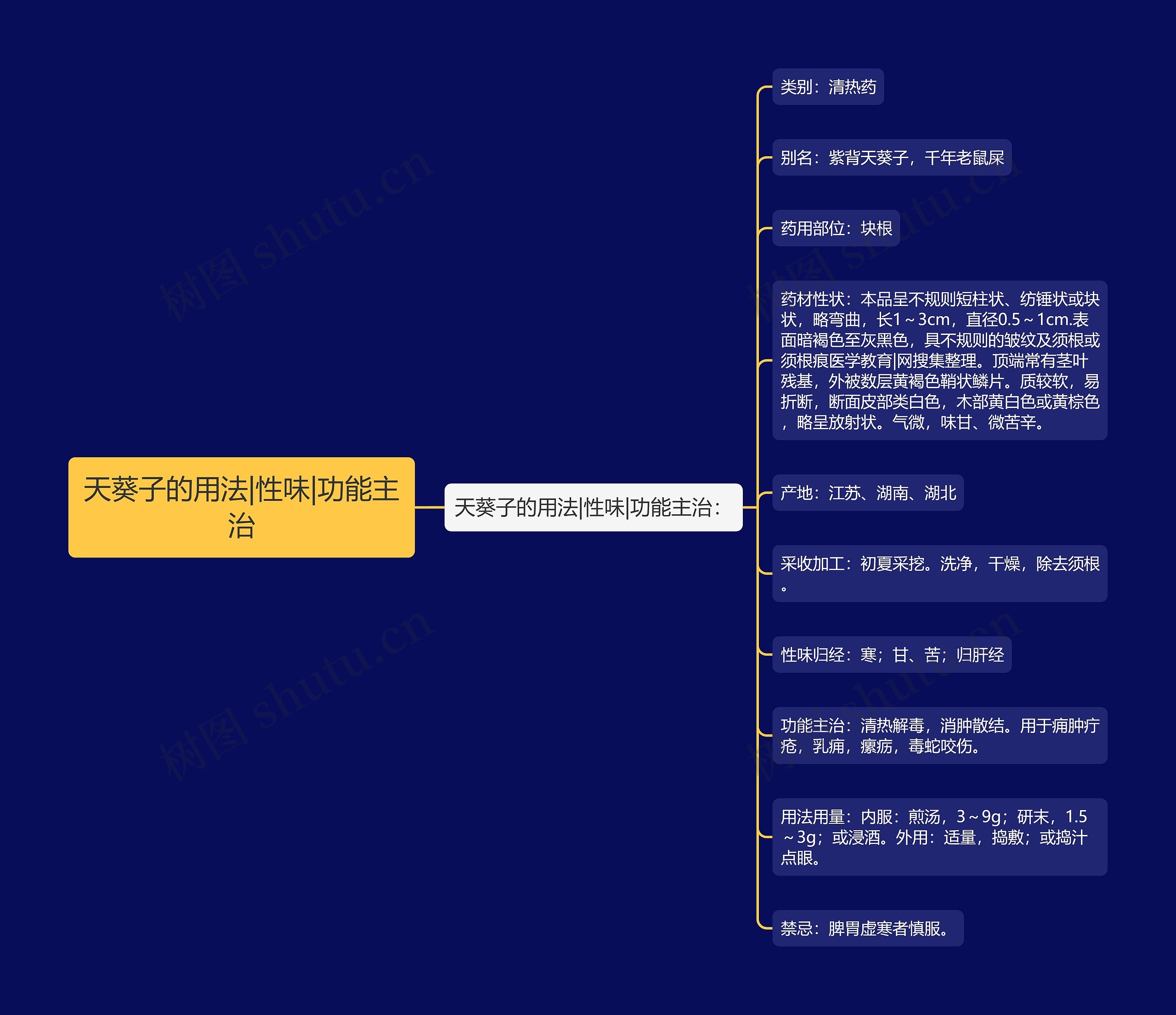 天葵子的用法|性味|功能主治 天葵子的用法|性味|功能主治