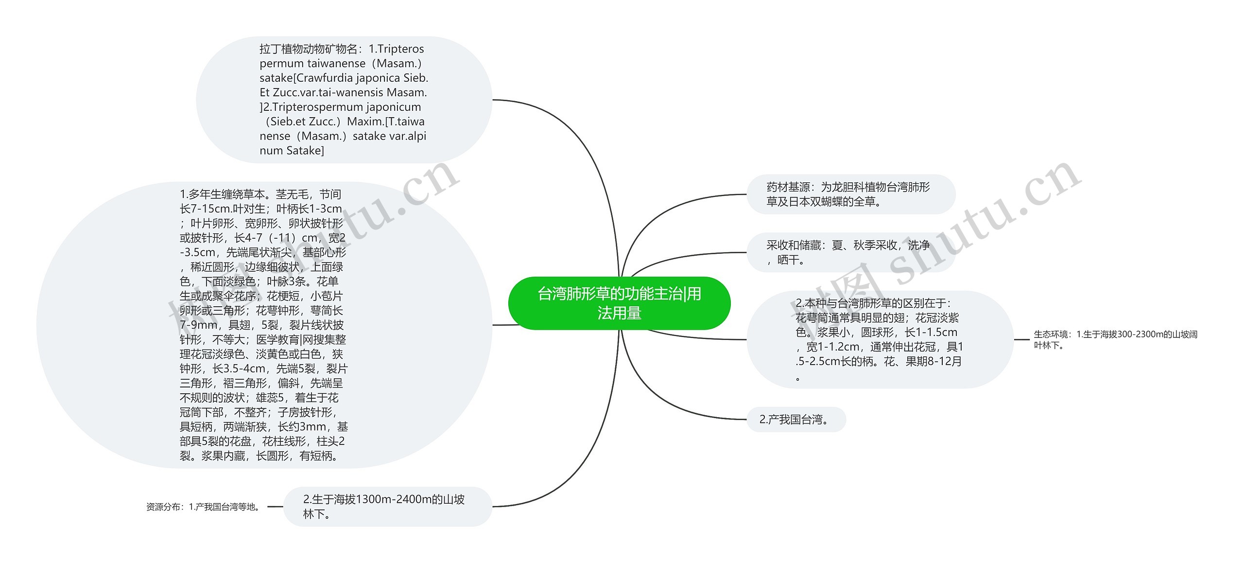 台湾肺形草的功能主治|用法用量思维导图