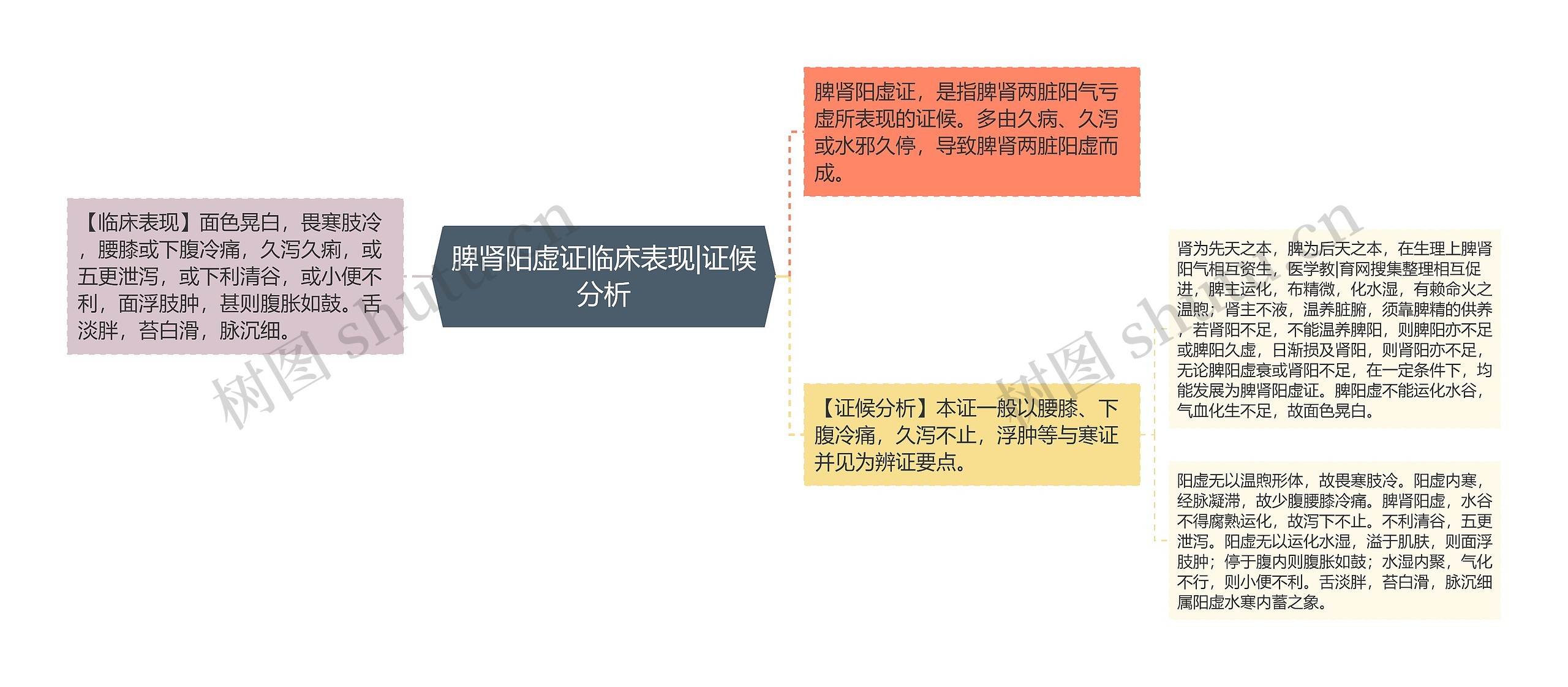 脾肾阳虚证临床表现|证候分析 脾肾阳虚证临床表现|证候分析