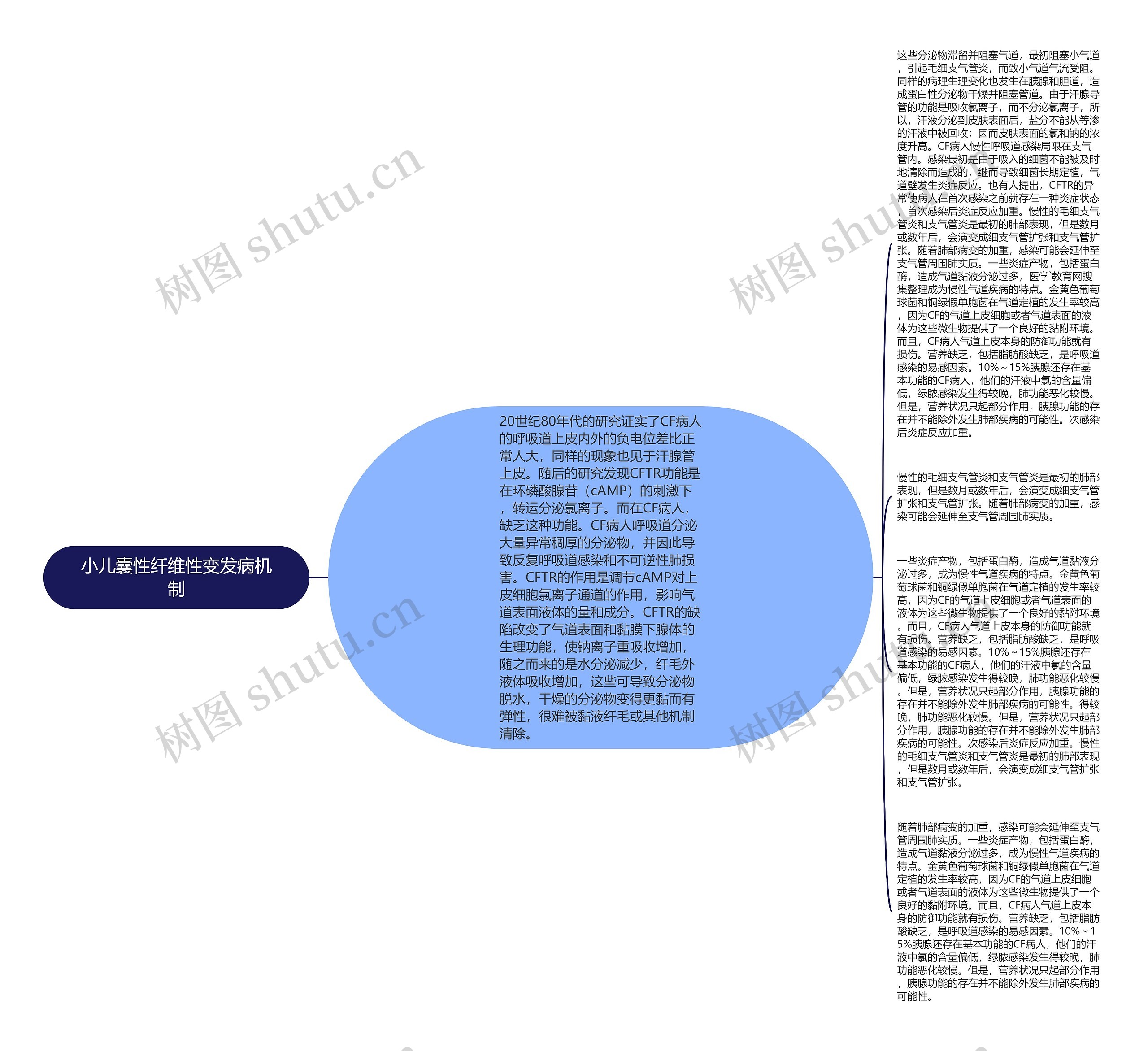 小儿囊性纤维性变发病机制思维导图