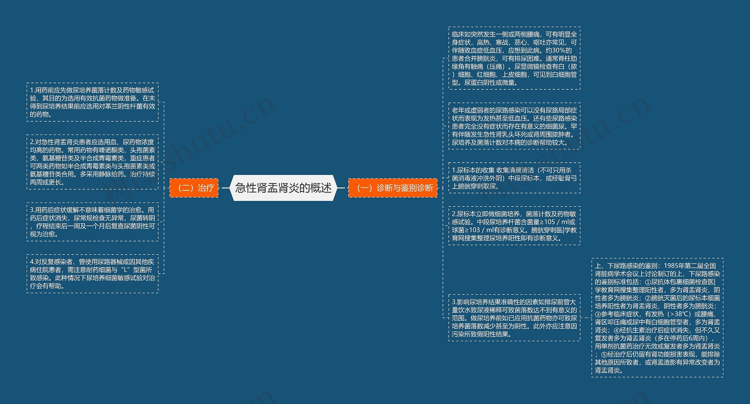 急性肾盂肾炎的概述思维导图