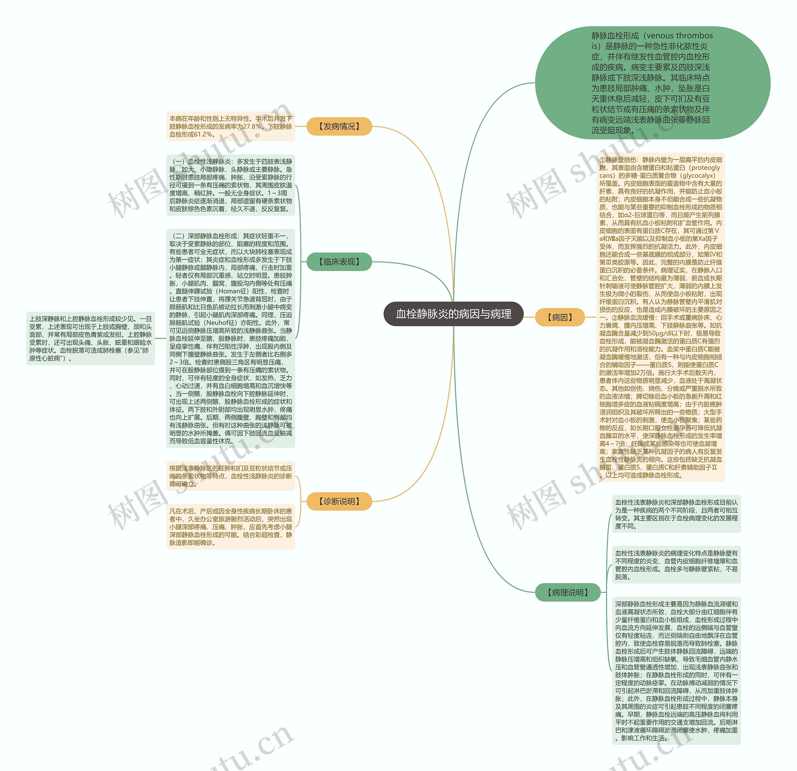 血栓静脉炎的病因与病理 血栓静脉炎的病因与病理