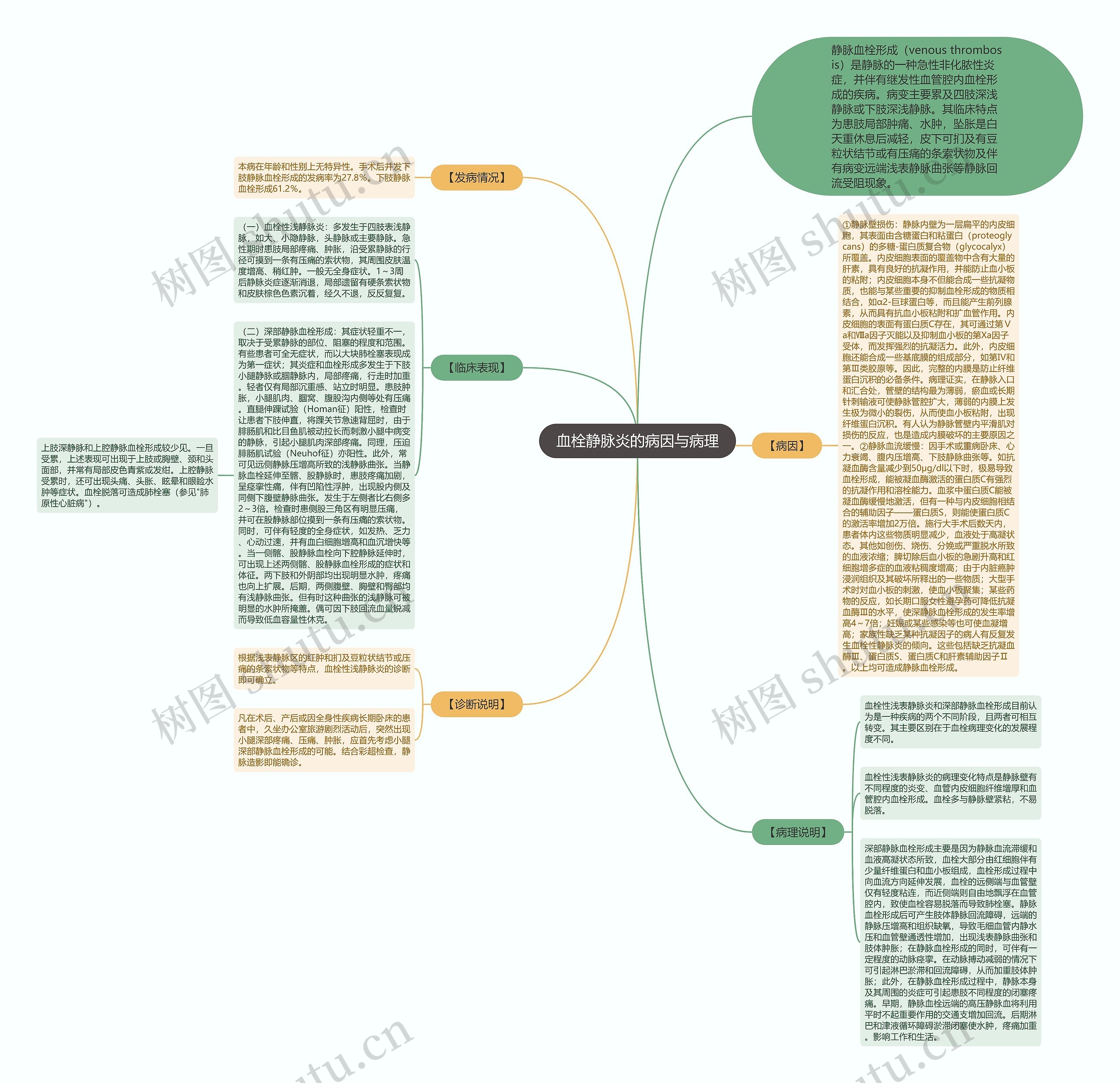 血栓静脉炎的病因与病理思维导图