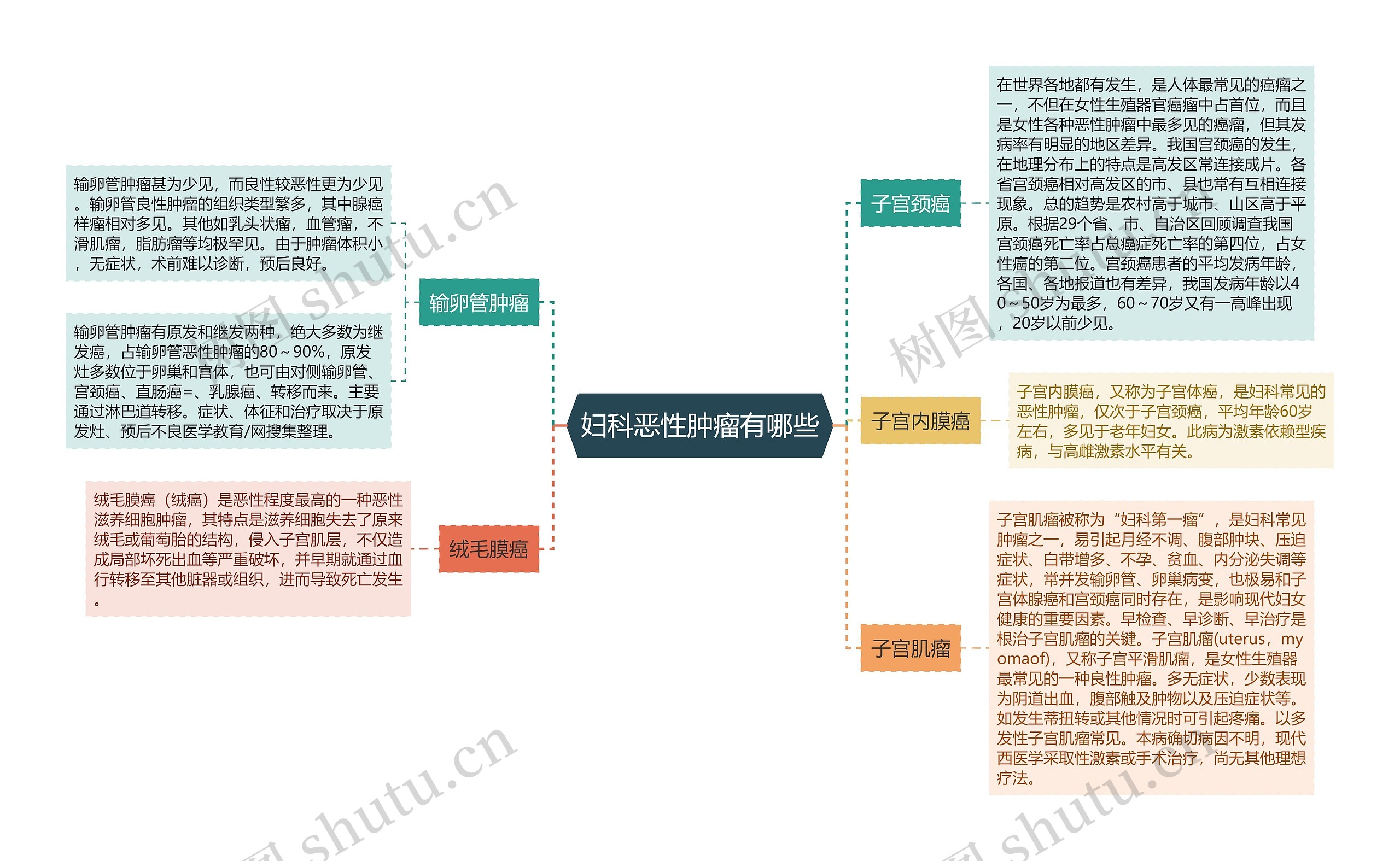 妇科恶性肿瘤有哪些