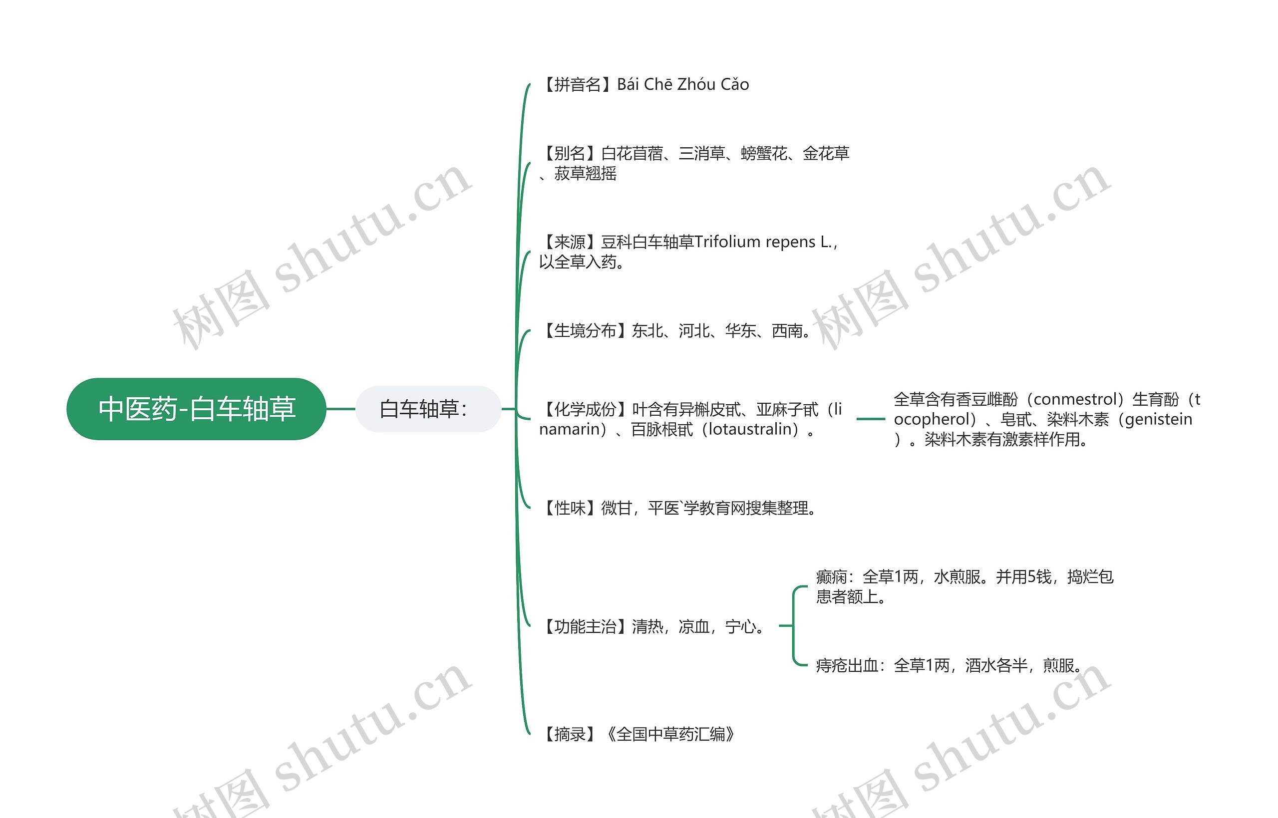 中医药-白车轴草 中医药-白车轴草