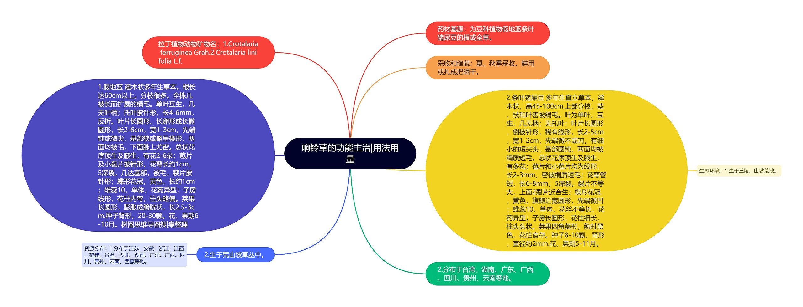 响铃草的功能主治|用法用量思维导图