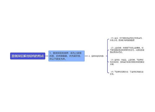 面侧深区解剖结构的特点