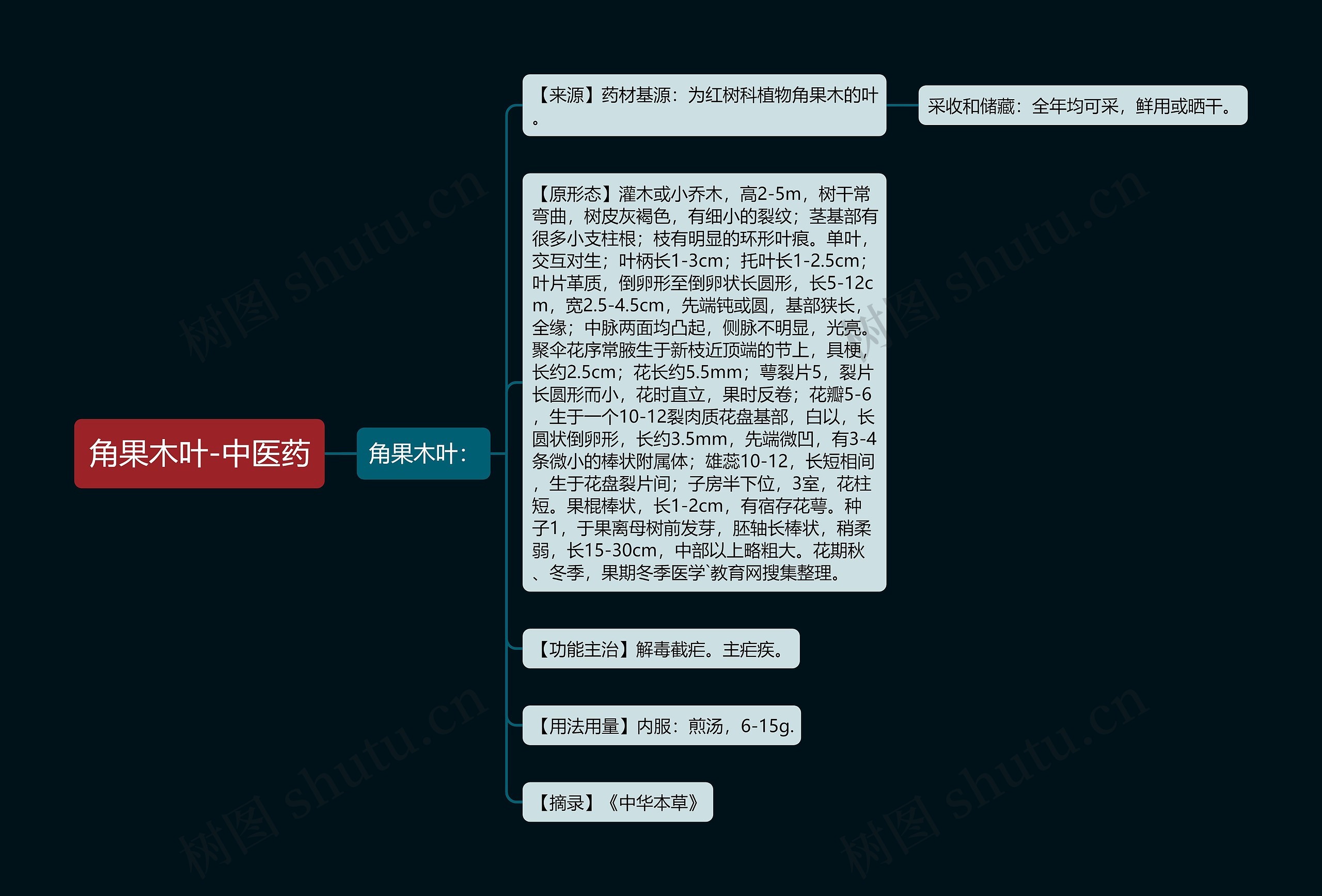 角果木叶-中医药思维导图