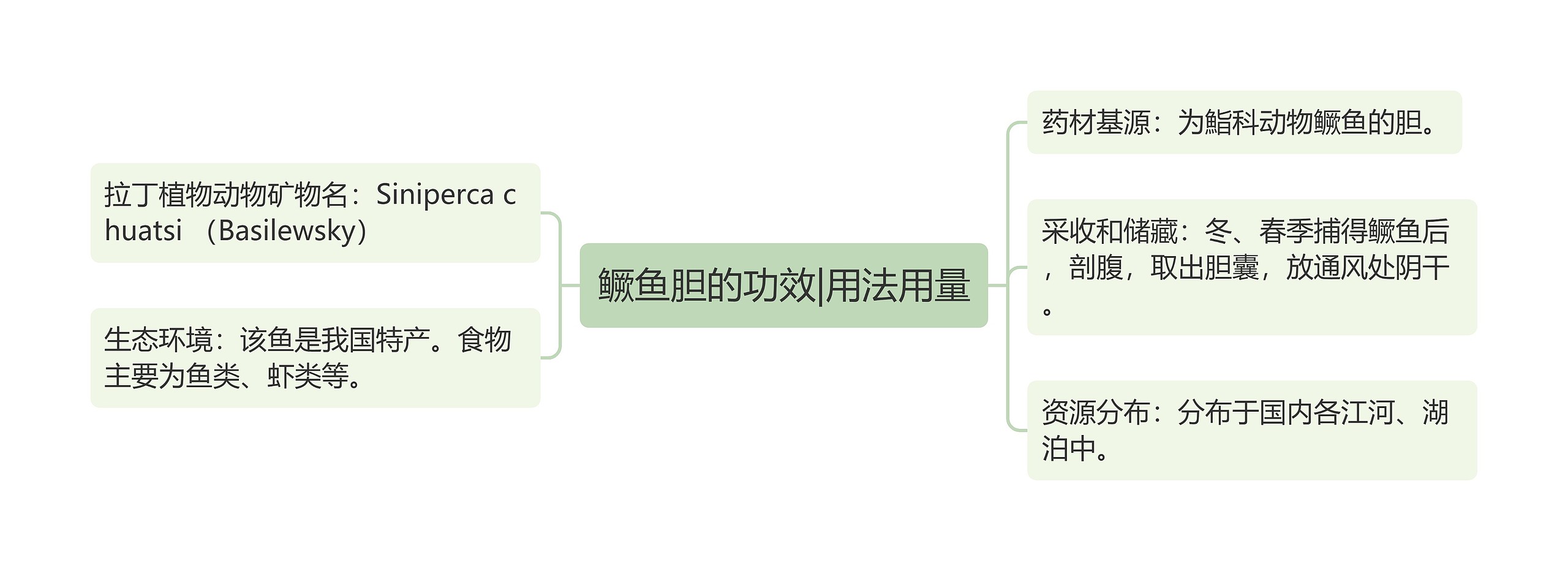 鳜鱼胆的功效|用法用量思维导图