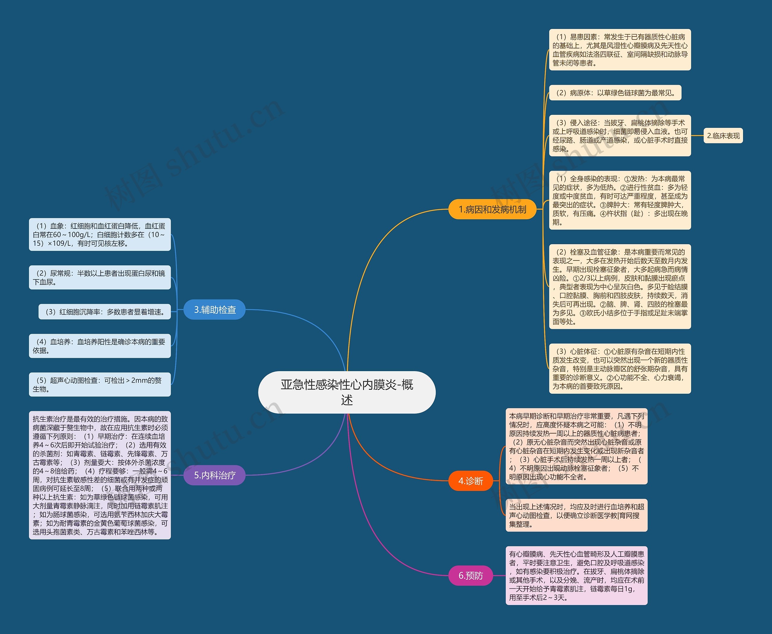 亚急性感染性心内膜炎-概述 亚急性感染性心内膜炎-概述