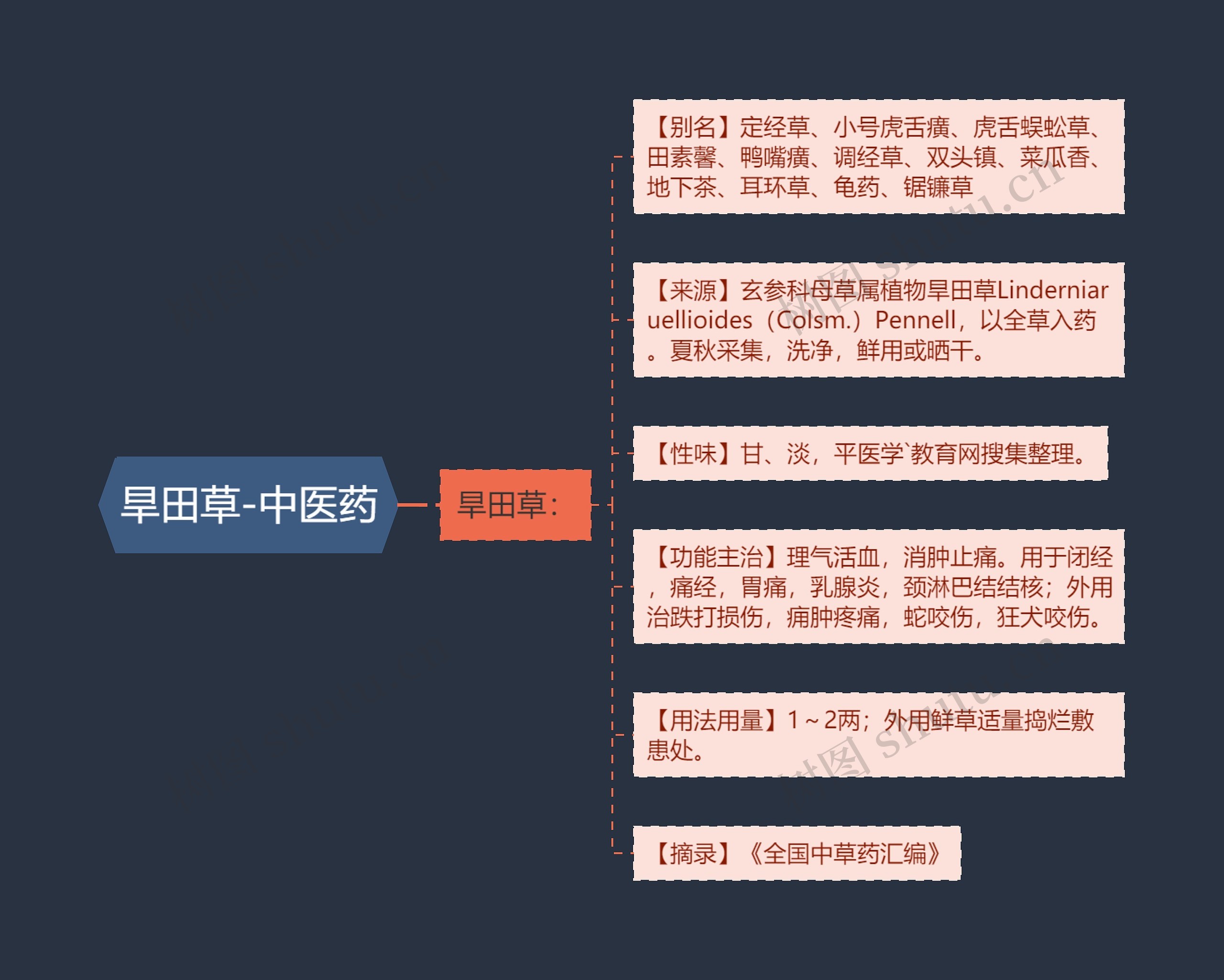 旱田草-中医药 旱田草-中医药