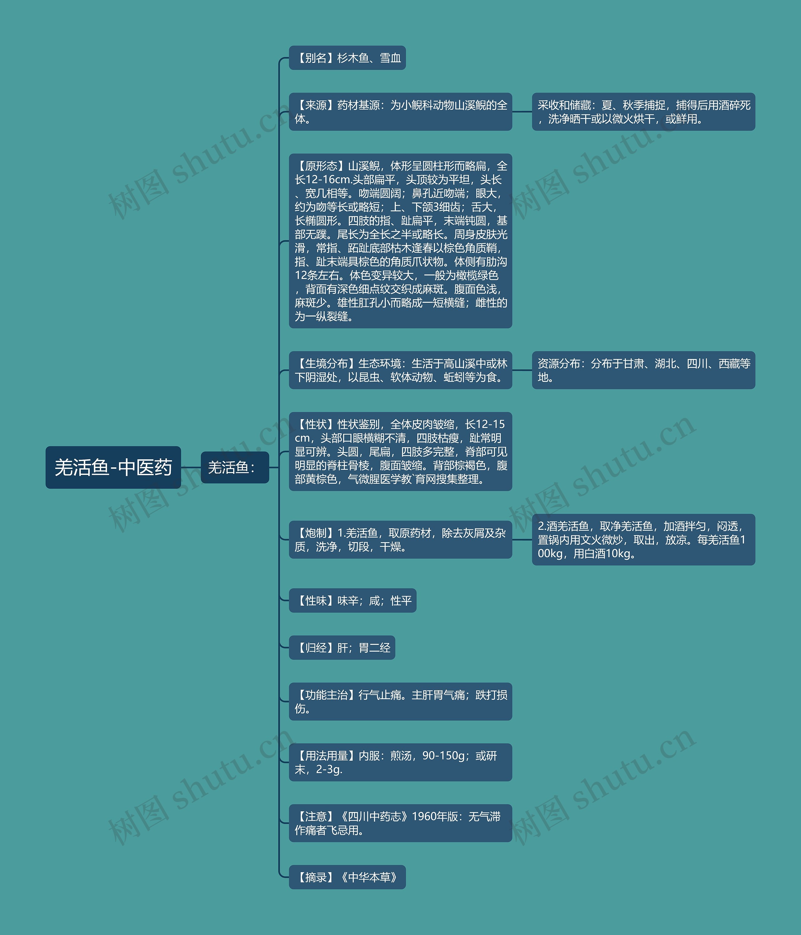 羌活鱼-中医药思维导图