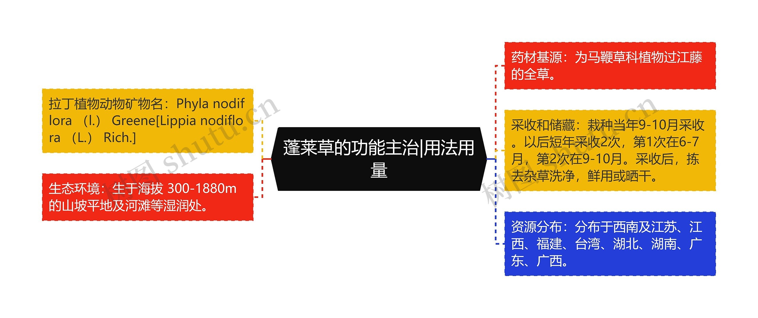 蓬莱草的功能主治|用法用量 蓬莱草的功能主治|用法用量