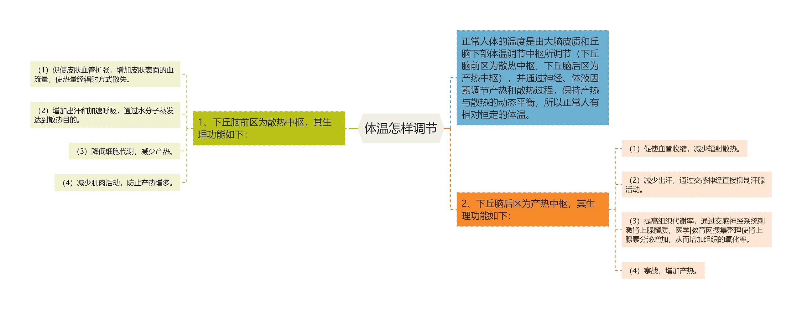 体温怎样调节