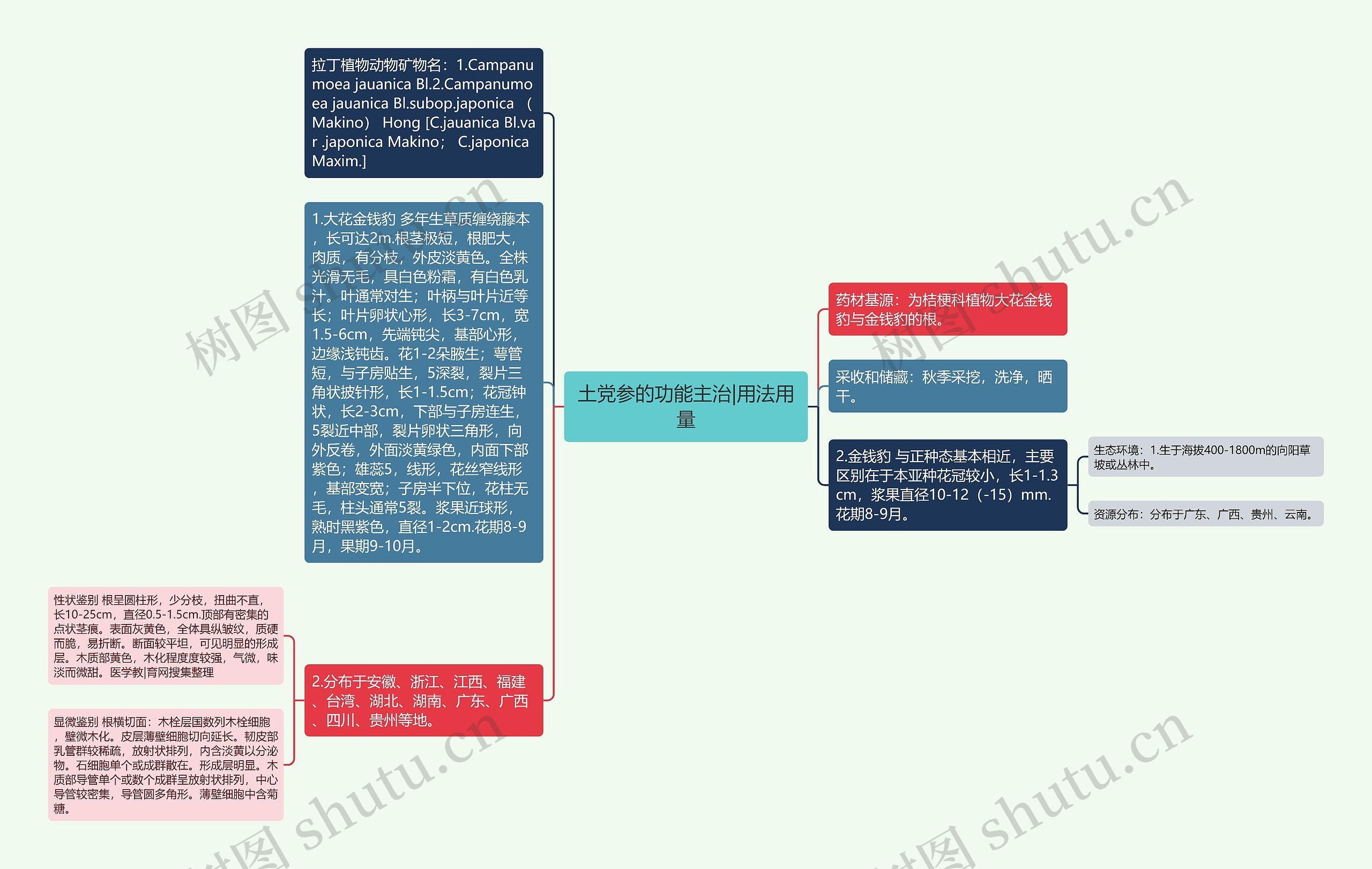 土党参的功能主治|用法用量思维导图