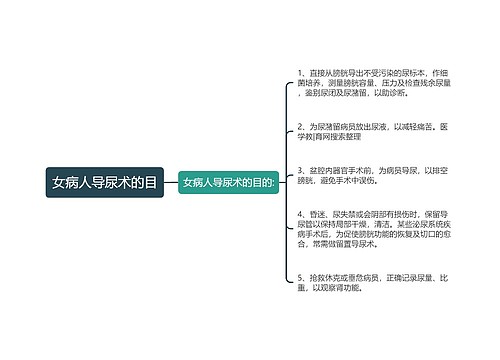 女病人导尿术的目