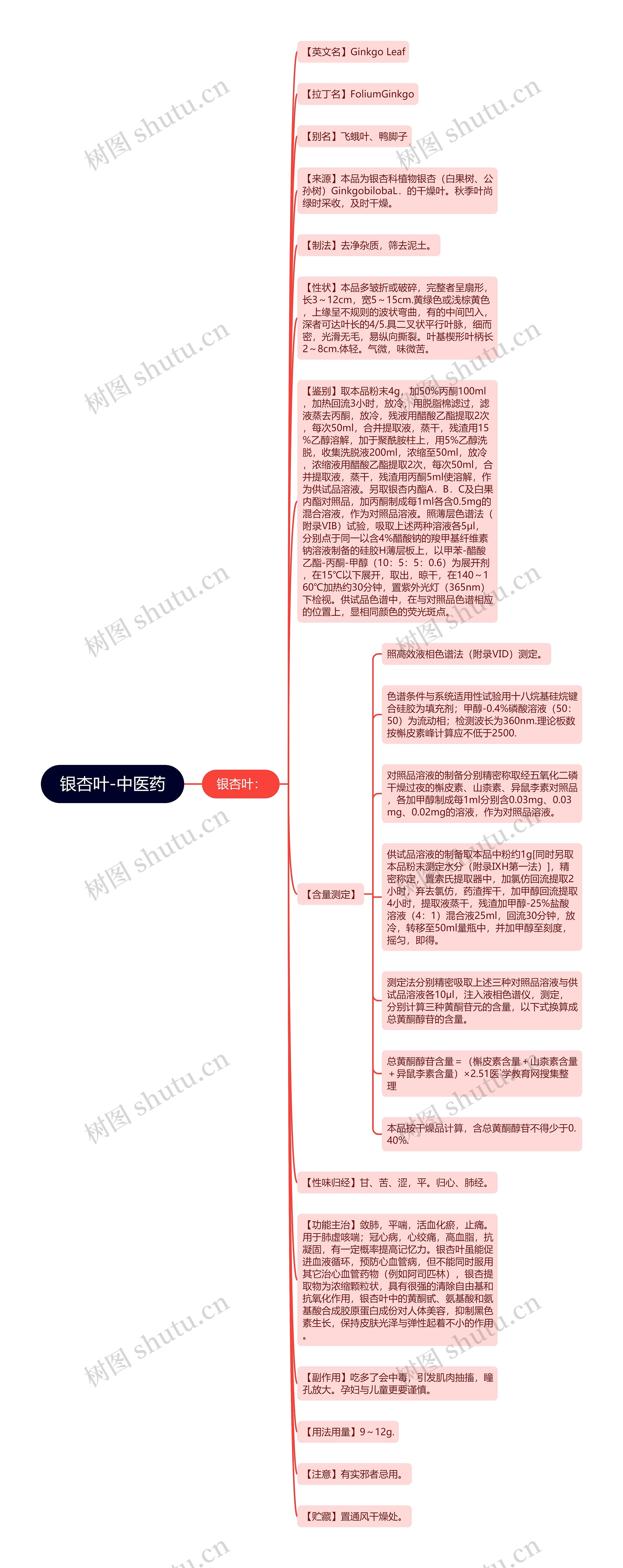 银杏叶-中医药思维导图