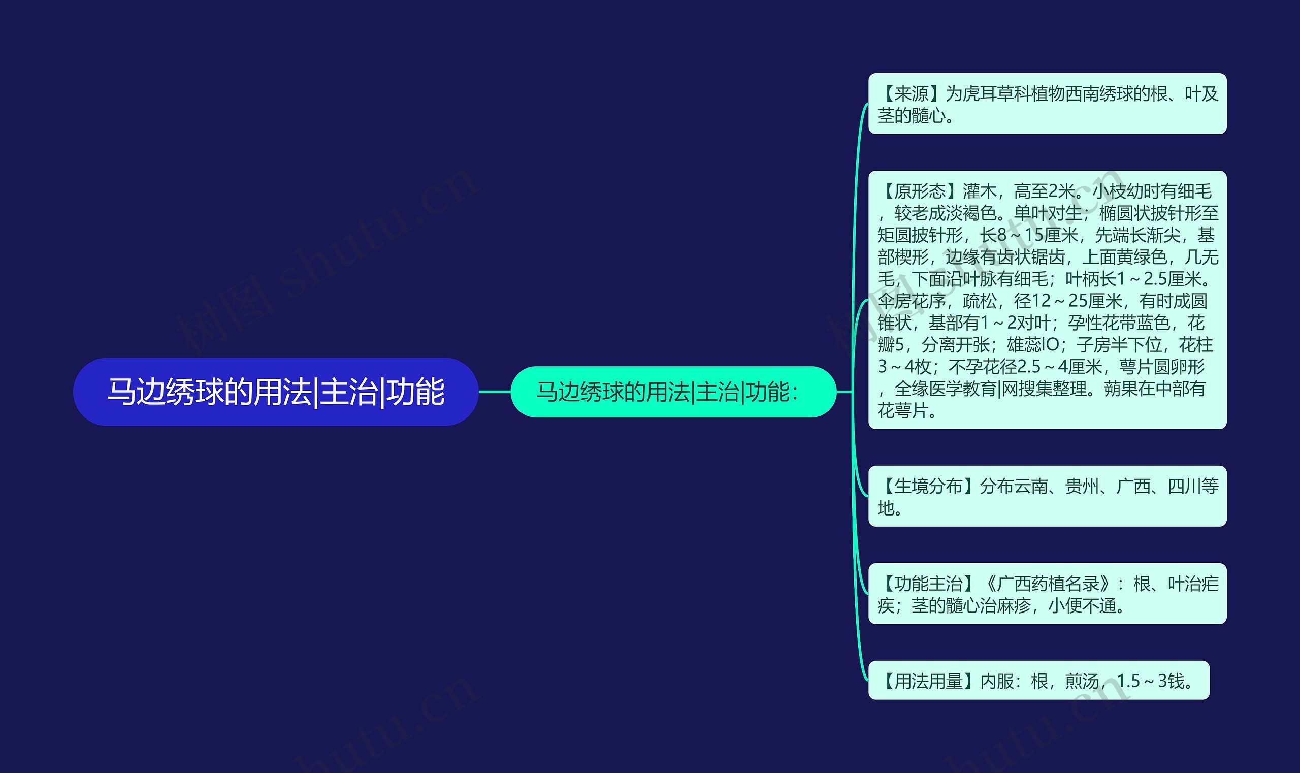 马边绣球的用法|主治|功能思维导图