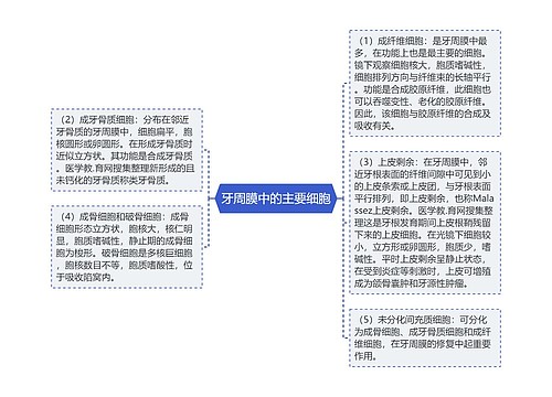 牙周膜中的主要细胞