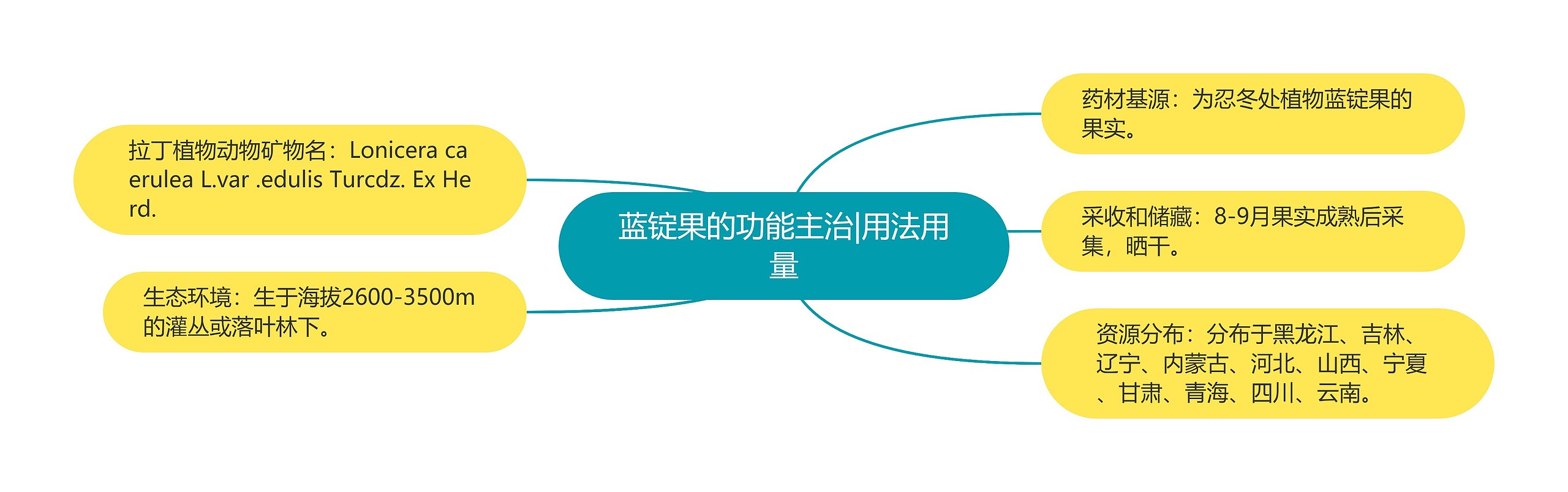 蓝锭果的功能主治|用法用量 蓝锭果的功能主治|用法用量