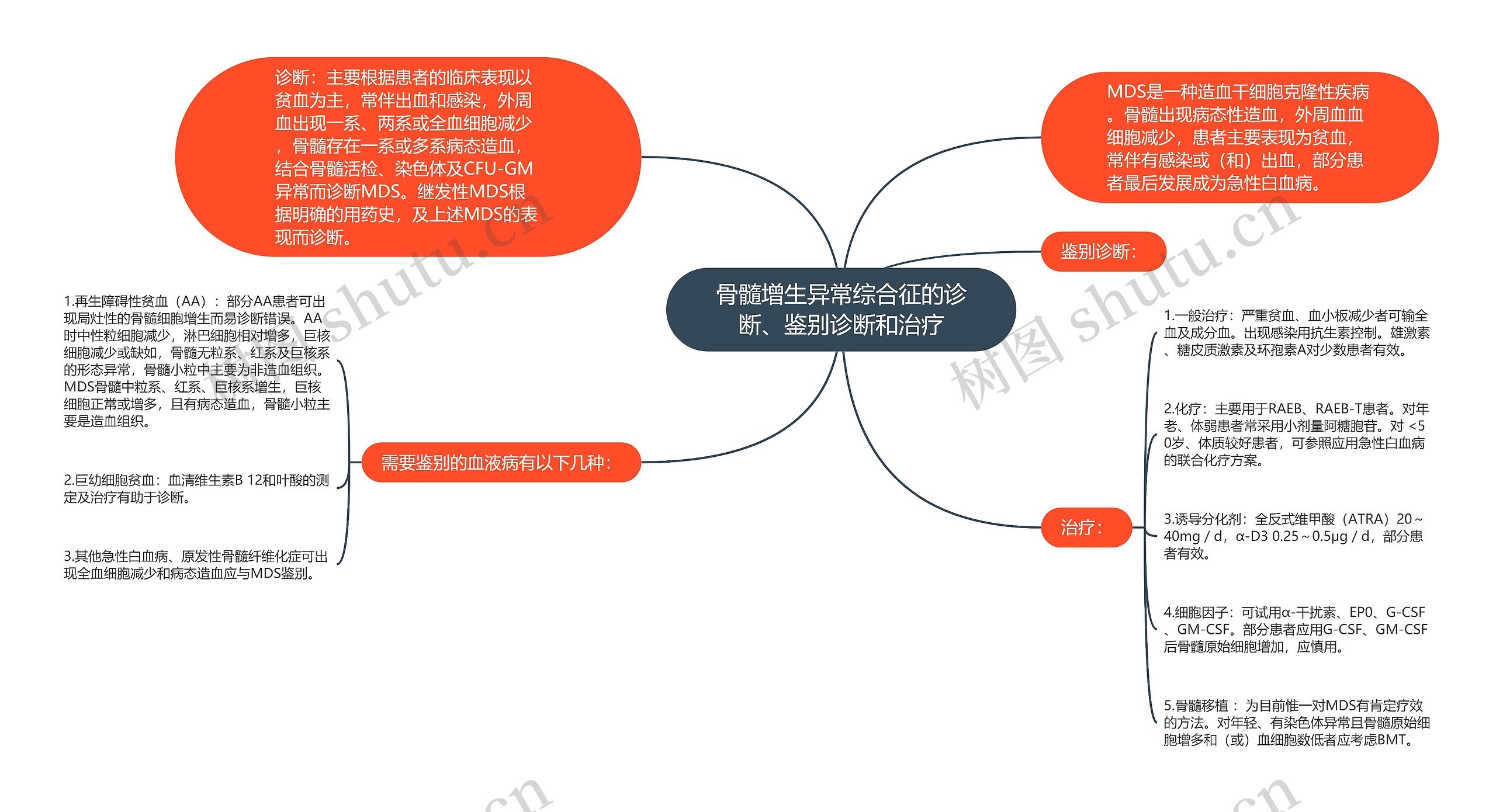 骨髓增生异常综合征的诊断、鉴别诊断和治疗