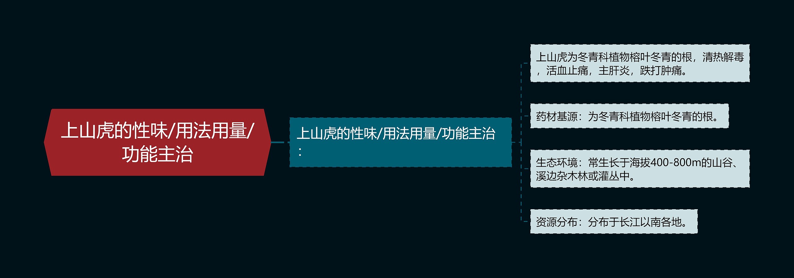 老虎思维导图简单图片