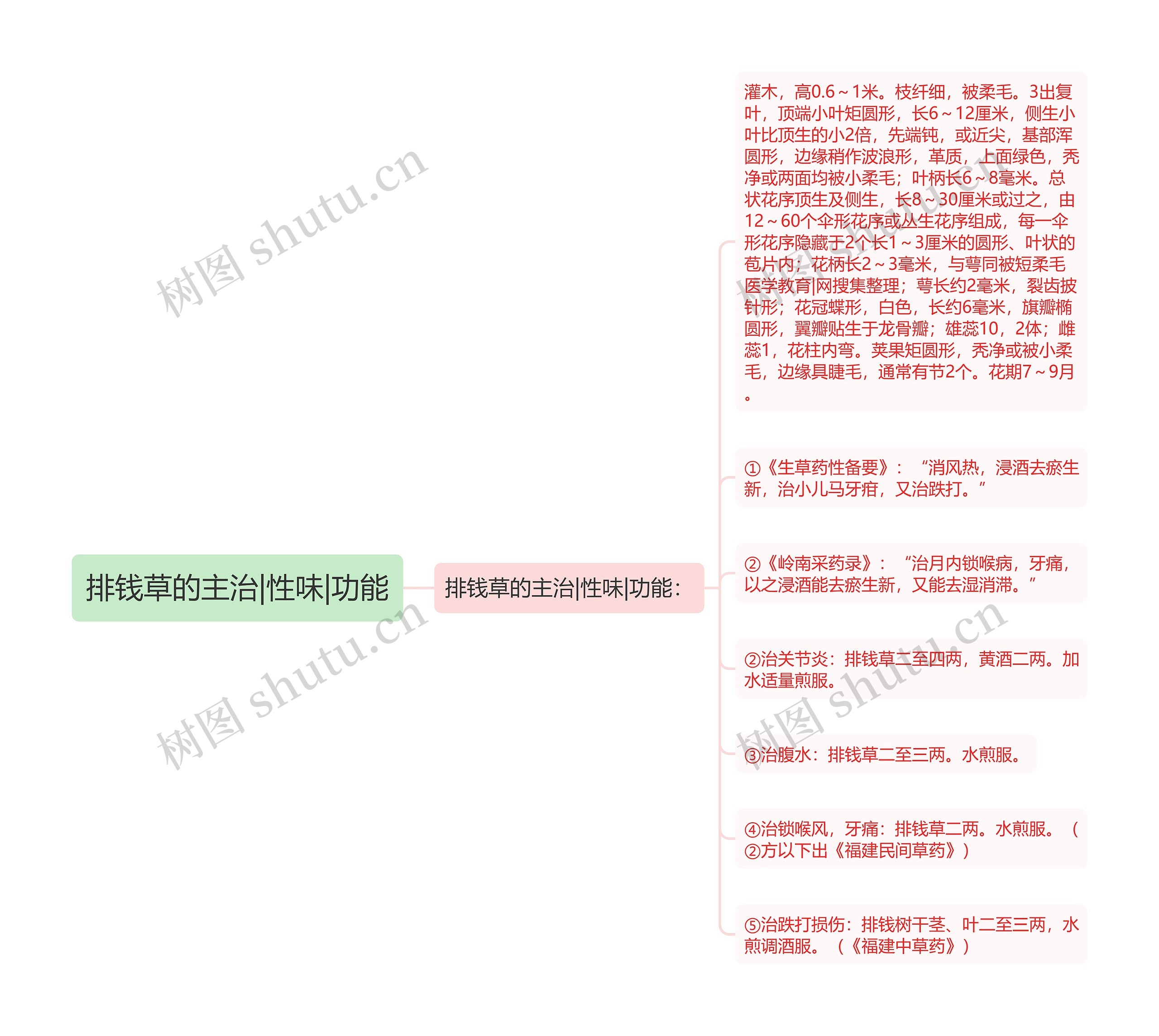 排钱草的主治|性味|功能思维导图